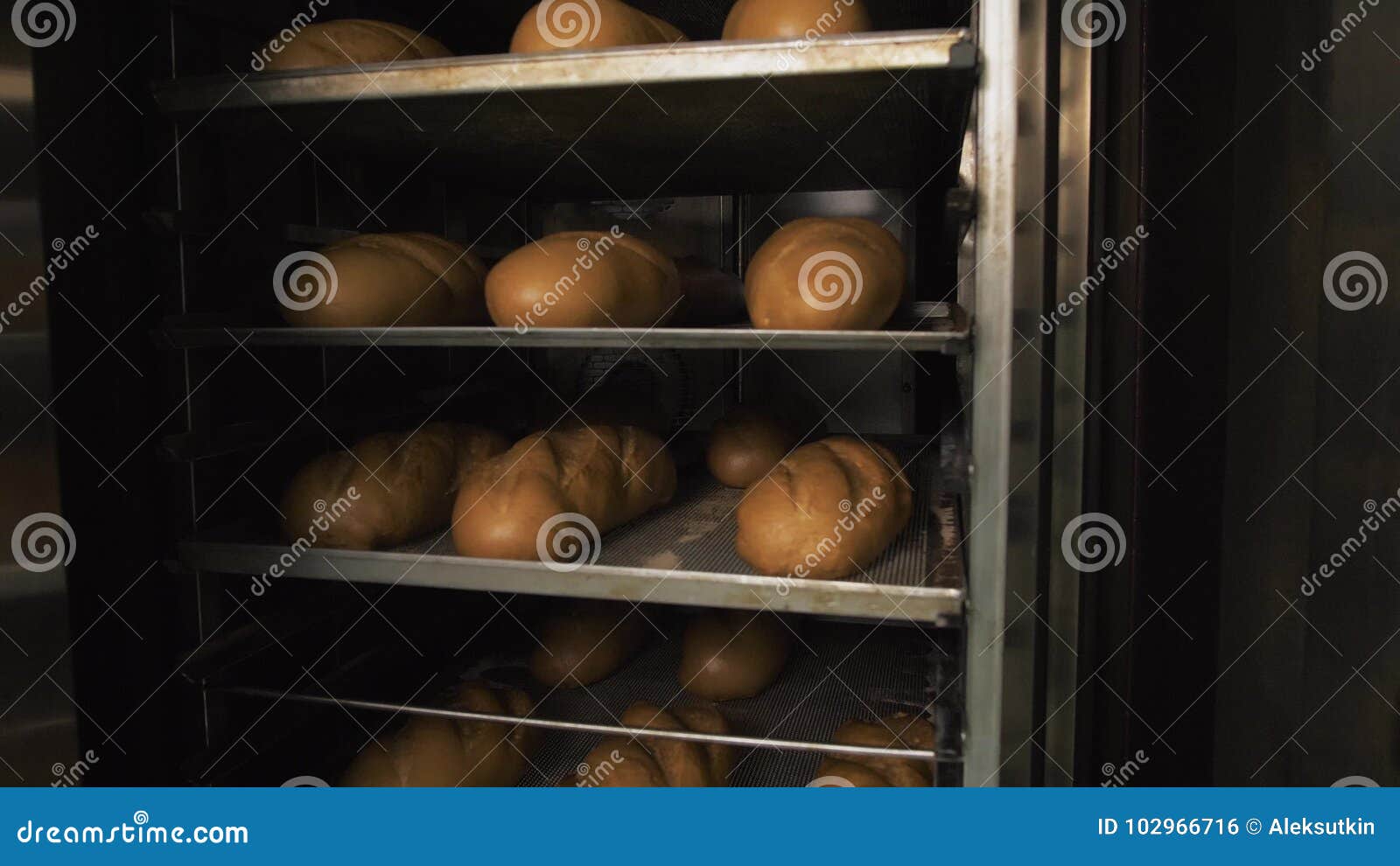 A Lot of Ready-made Fresh Bread in a Bakery Oven in a Bakery. Bread ...