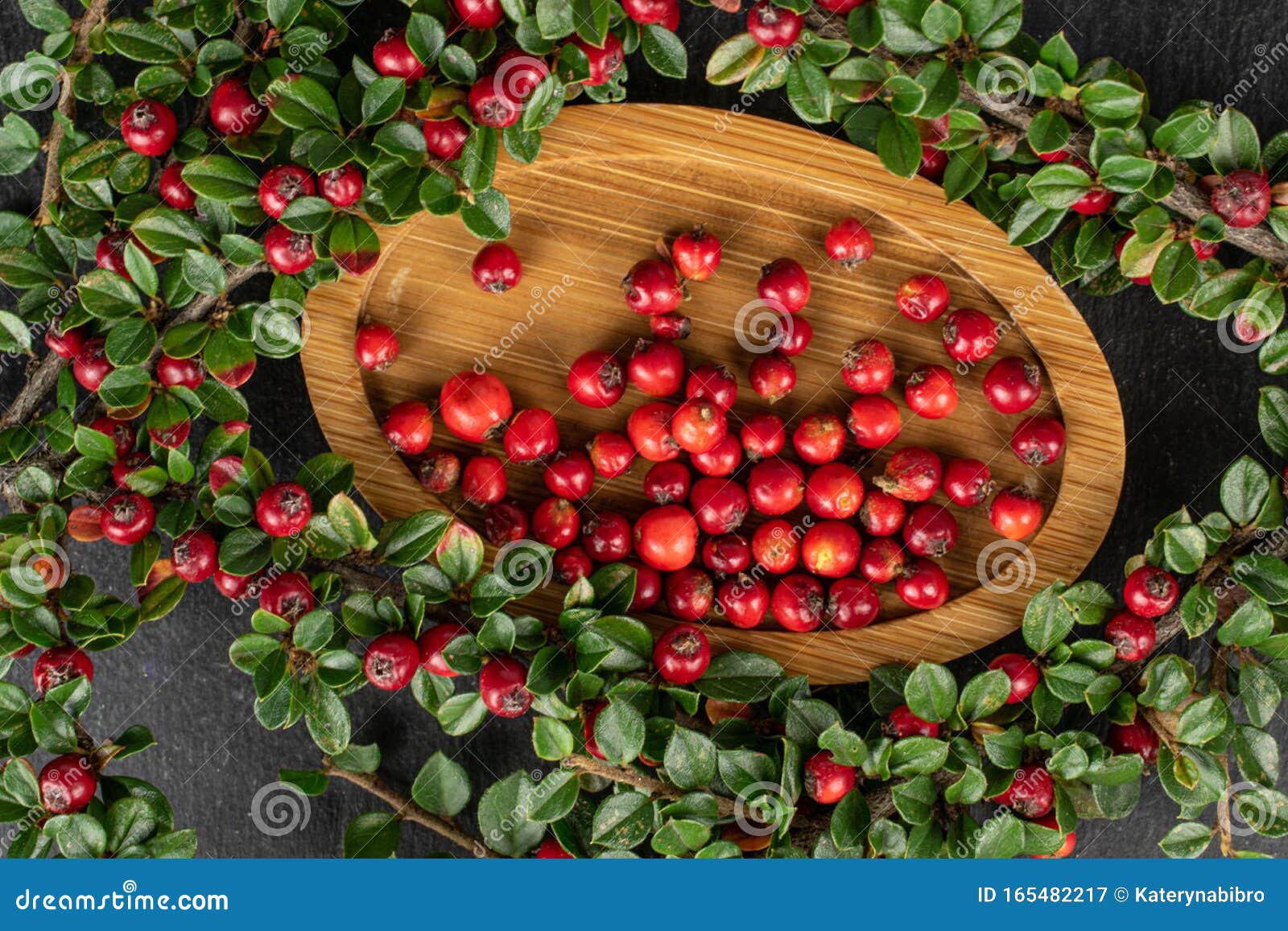 Wild Red Rowanberry on Grey Stone Stock Image - Image of bird, bright ...