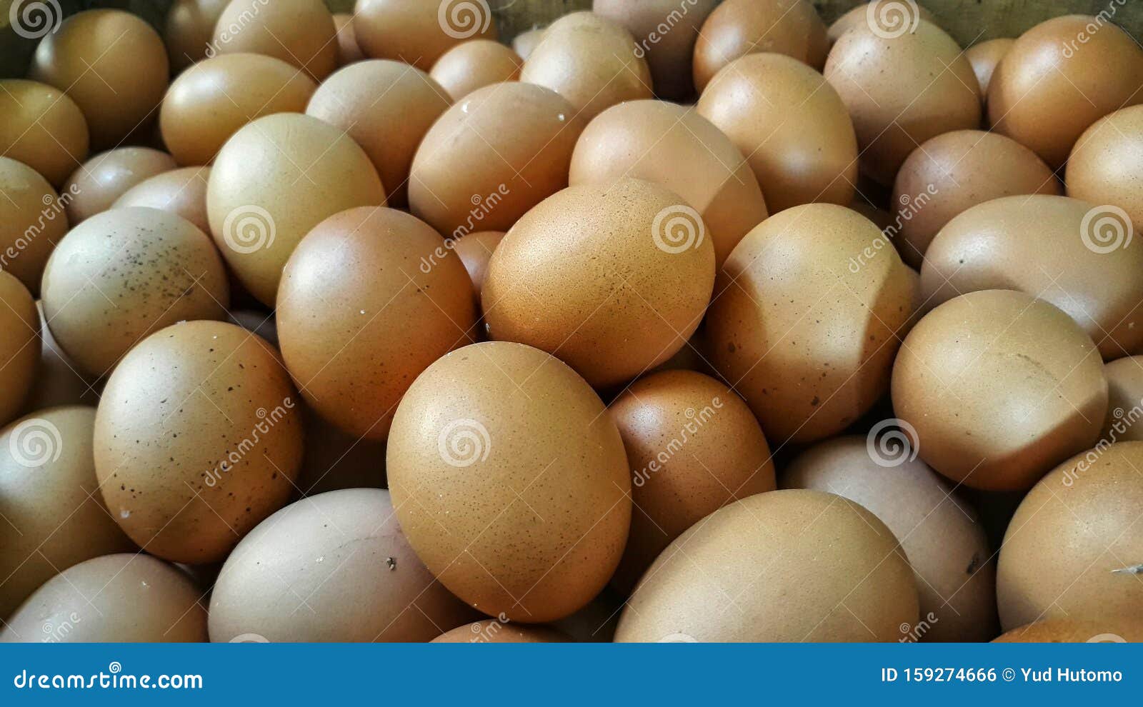 The Lots of Chicken Eggs stock photo. Image of agriculture - 159274666