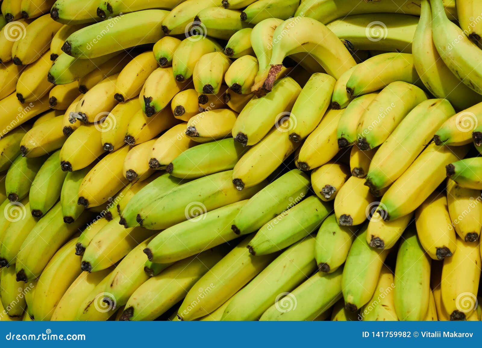 Включи big banana. Жёлтые бананы в ряд. Банан little big. Группа little big Bananas. Бананить.