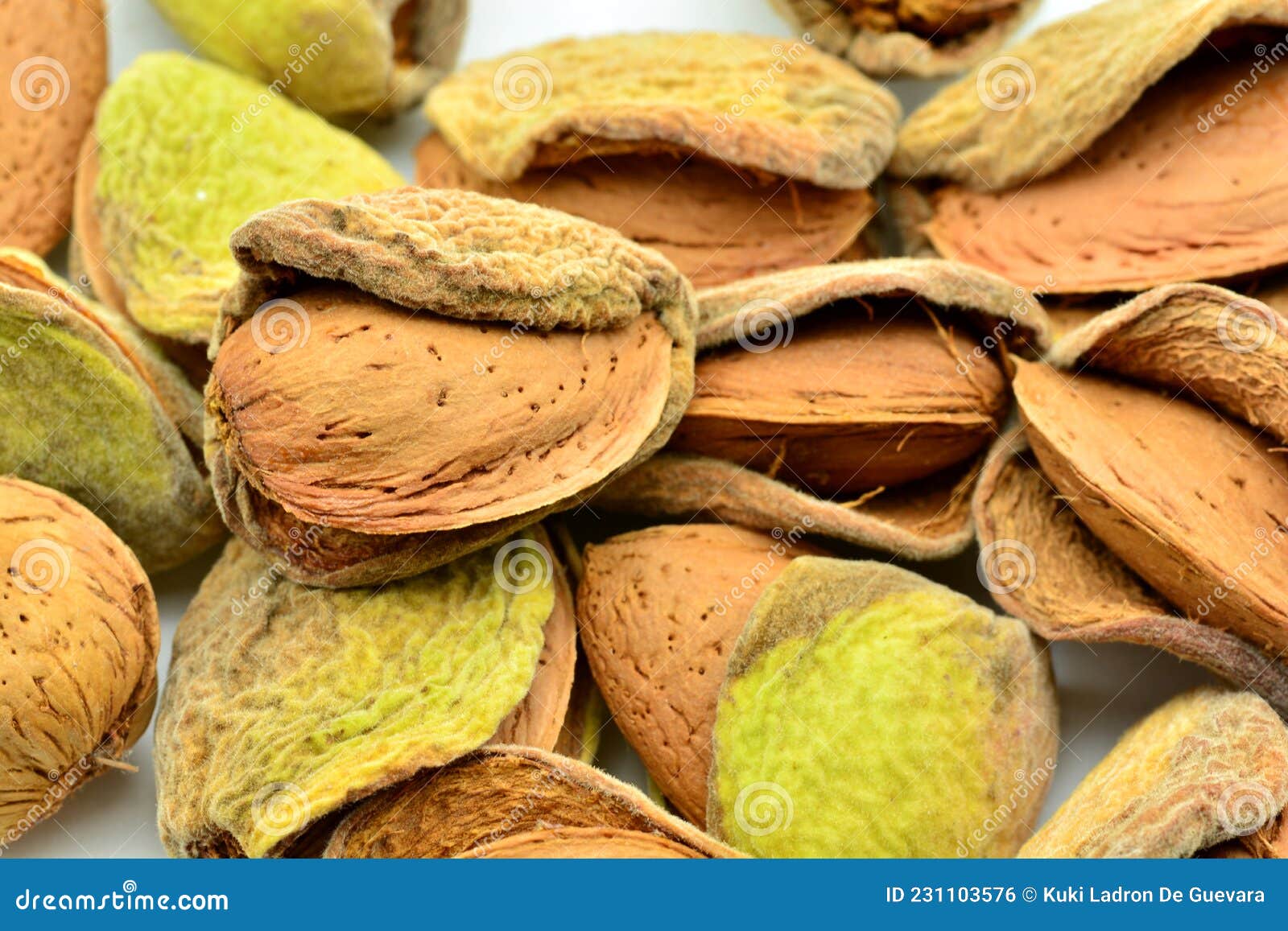 detail of freshly picked almonds