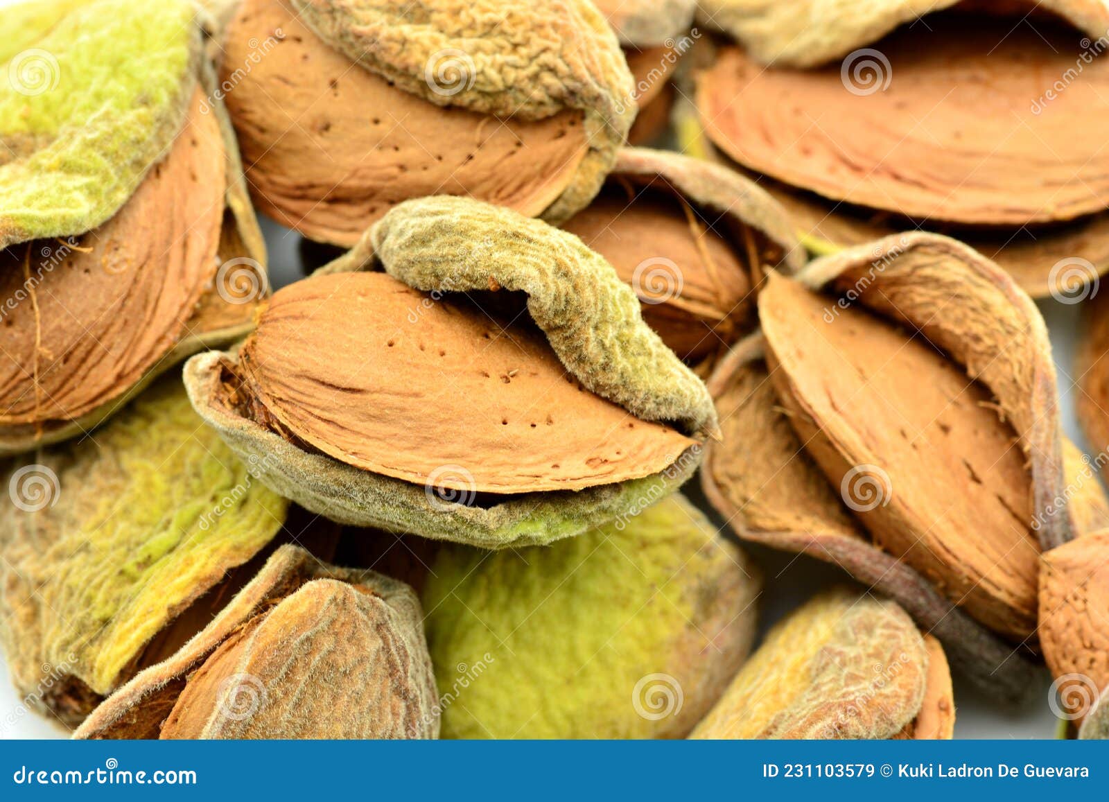 detail of freshly picked almonds