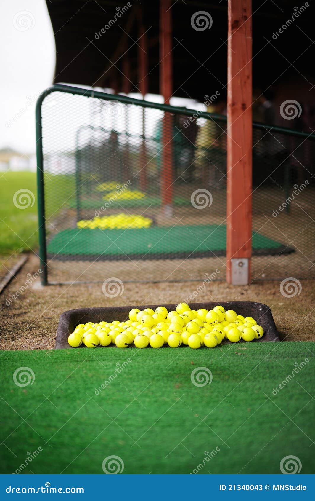 Lots of Golf Balls on a Golf Field Stock Image Image of accessory