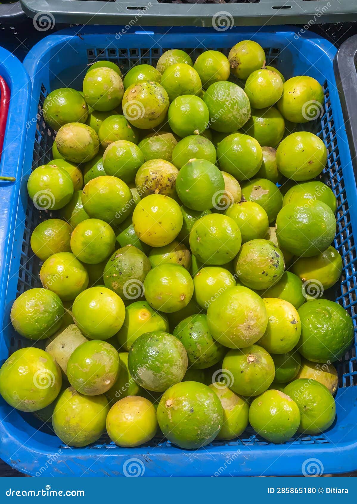 Lots of Green Limes in the Blue Container. Stock Photo Image of lime