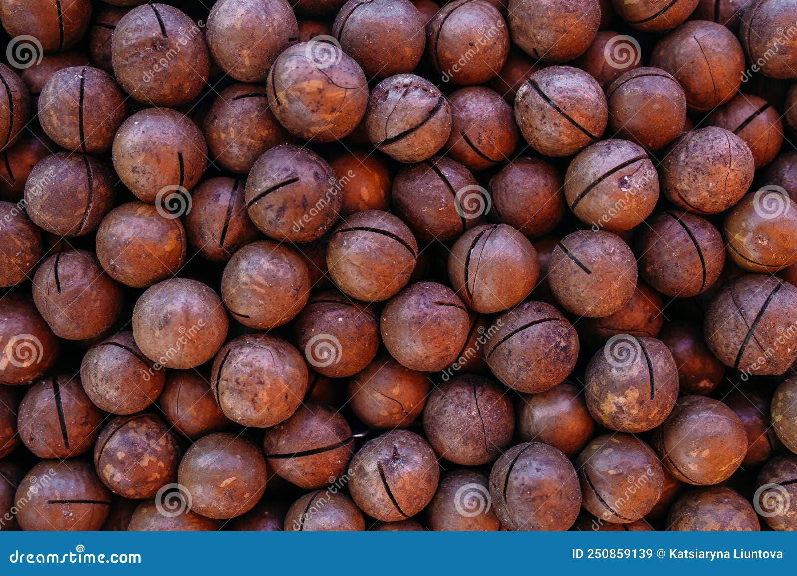 Lots of Macadamia Nuts on a Farmer S Market Stall Stock Image Image