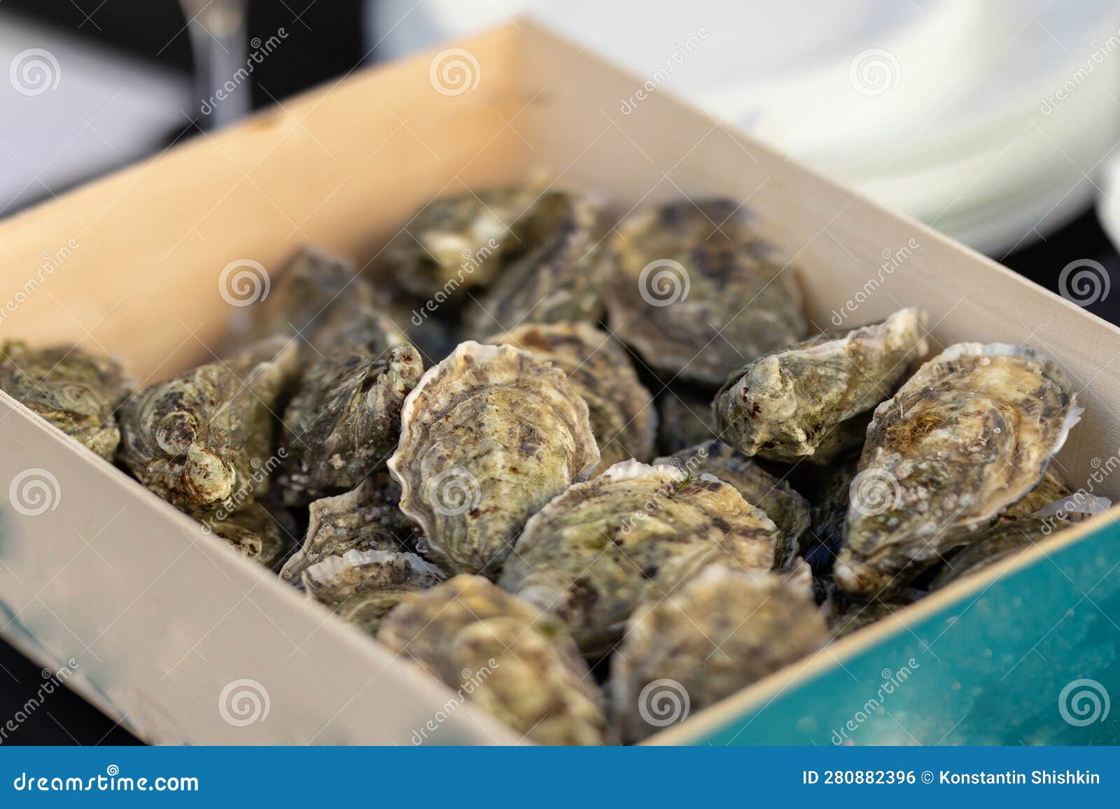 Lots of Oysters Inside the Container before Serving in the Restaurant