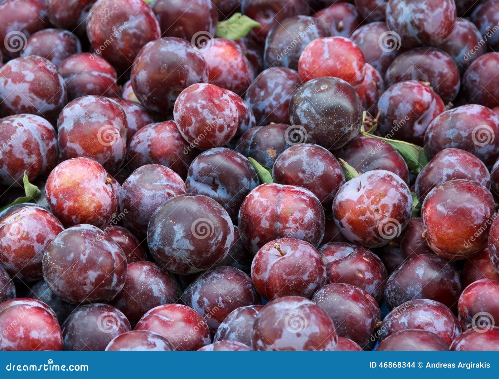 Lots of plums stock photo. Image of natural, berry, kitchen 46868344
