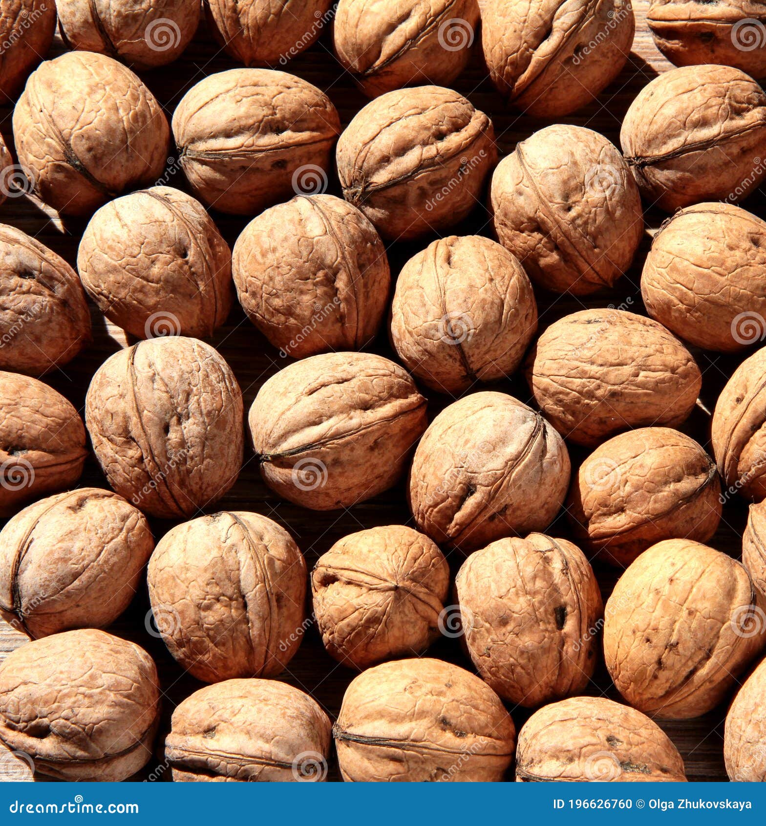 Lots of Walnuts. Background of Nuts in the Shell Stock Photo Image of