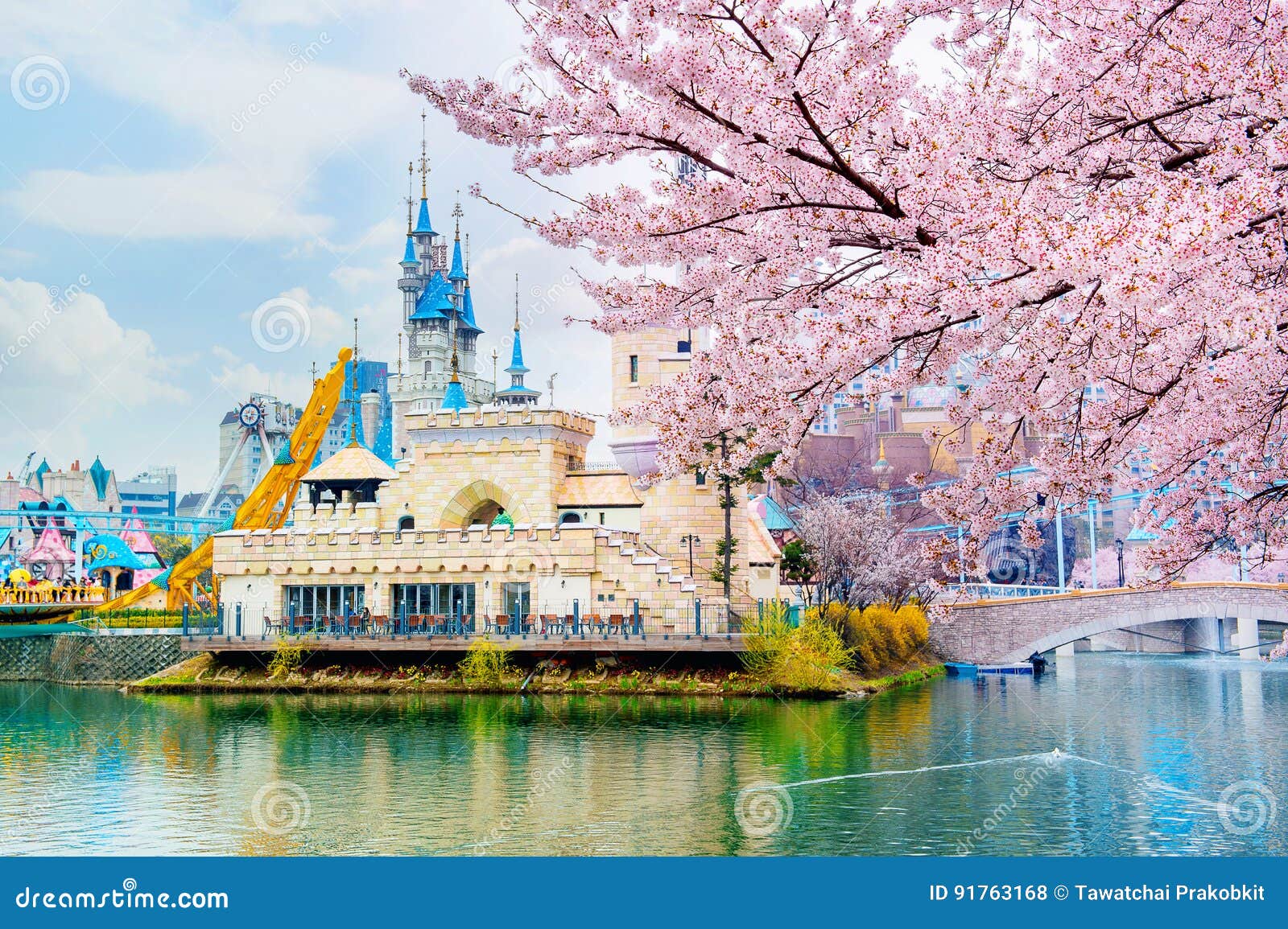 Lotte World Amusement Park And Cherry Blossom Of Spring A Major