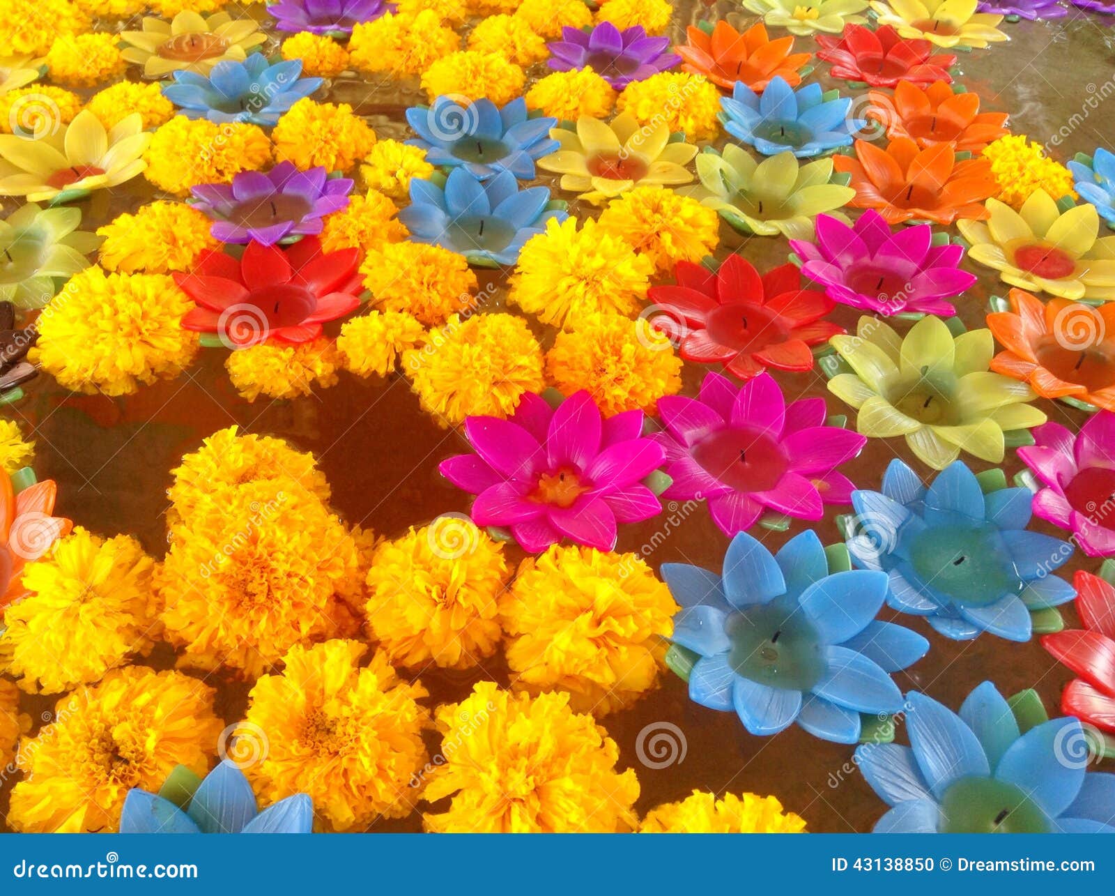 Lotus candle editorial image. Image of petal, plant, flower 43138850