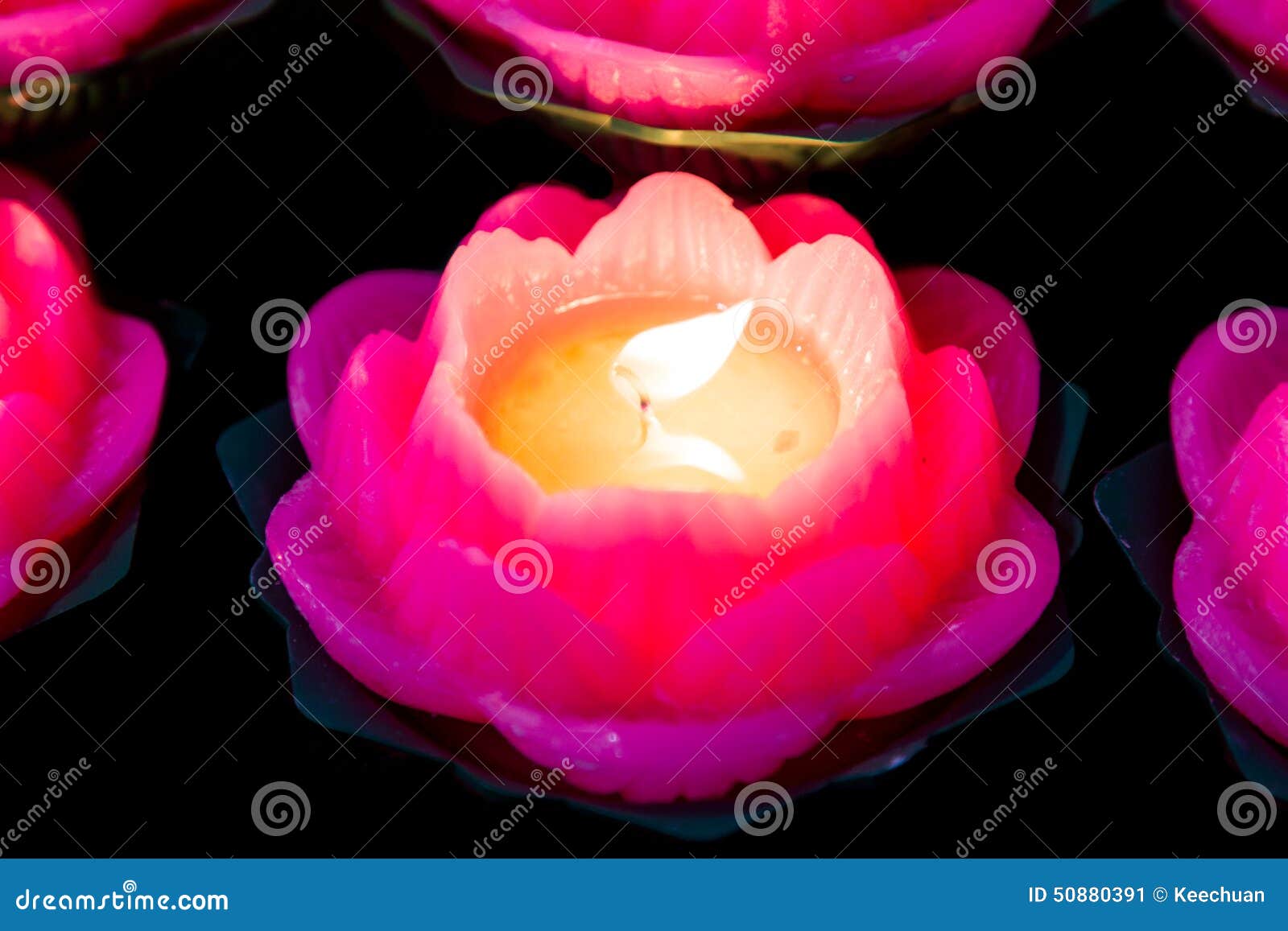 Lotus Candle Light Illuminate a Dark Surrounding Stock Image Image of purple, flower 50880391