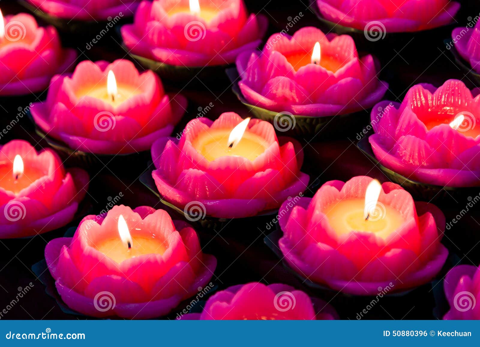Lotus Candle Light Illuminate a Dark Surrounding Stock Photo Image of