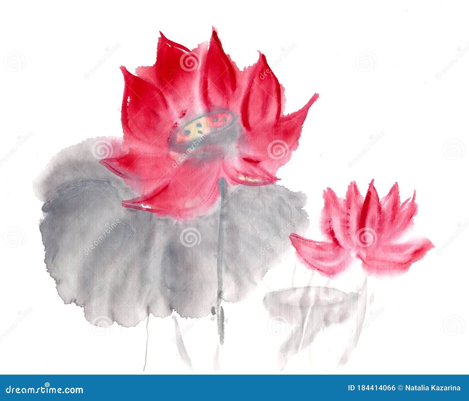 Lotus in Chinese Ink Style Isolated on White Stock Illustration