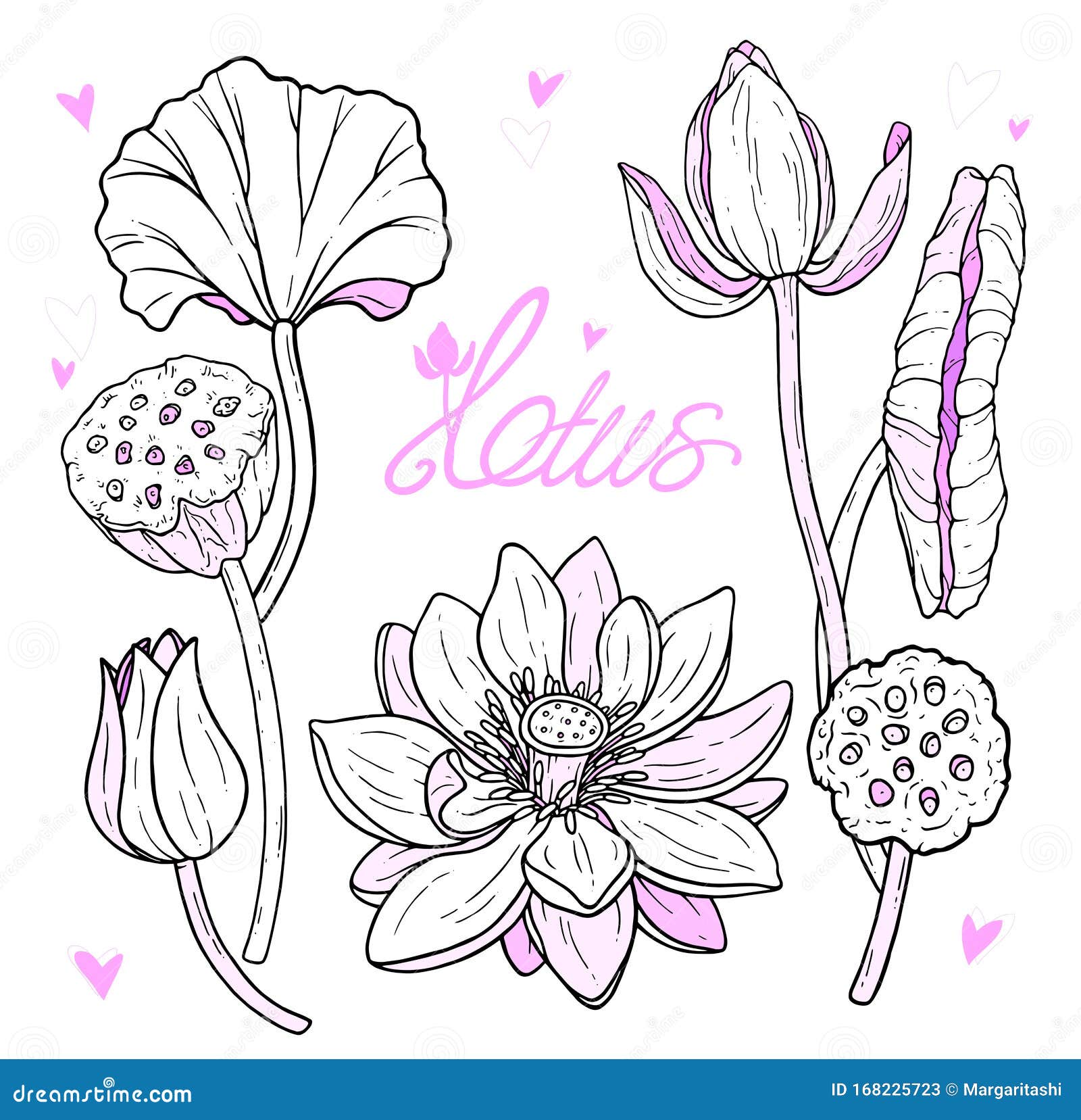 Free Free 68 Lotus Flower Outline Svg SVG PNG EPS DXF File