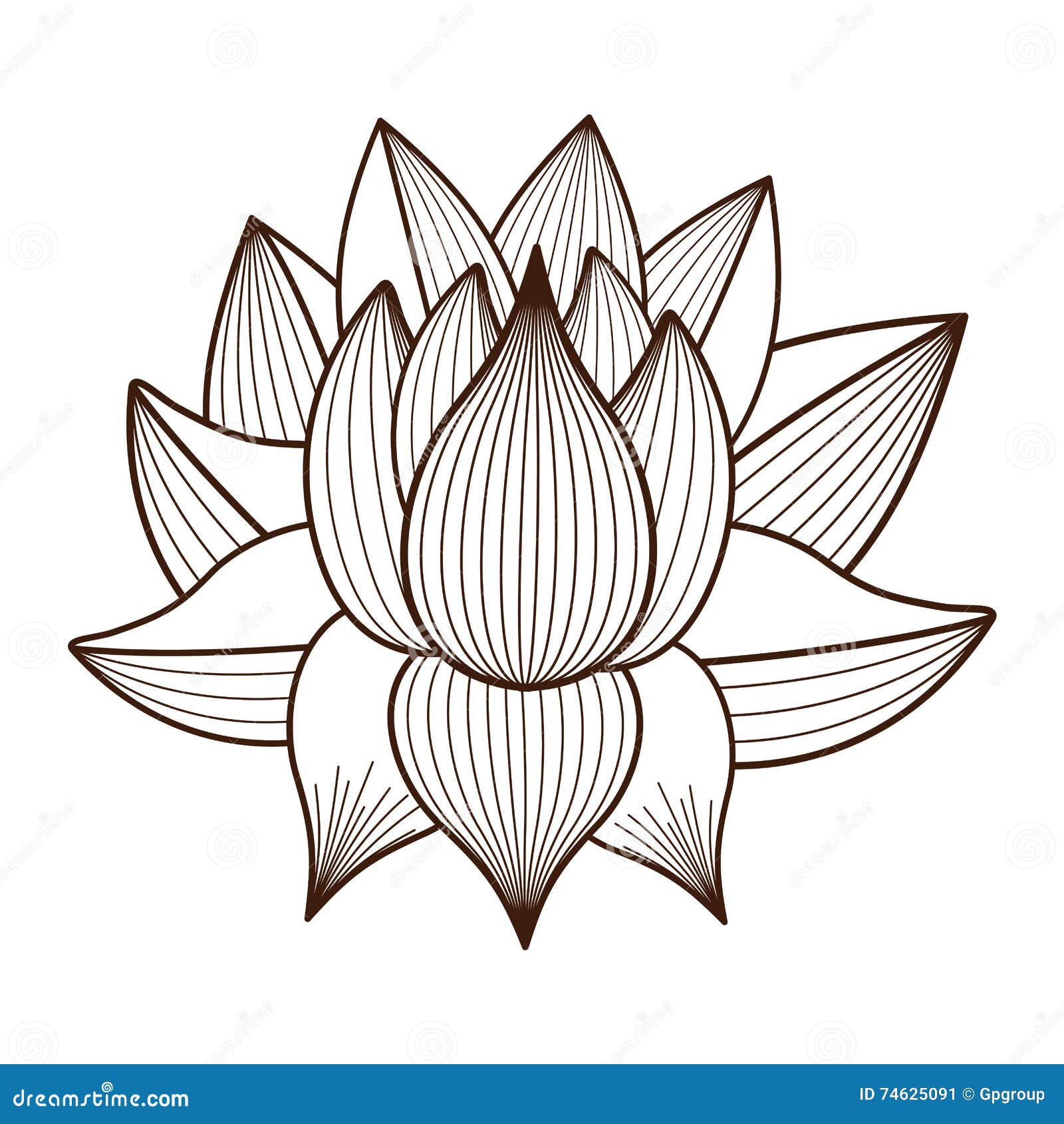 How to Draw Lotus Flower (Step by Step Pictures) | Cool2bKids | Flower  drawing, Roses drawing, Lotus drawing