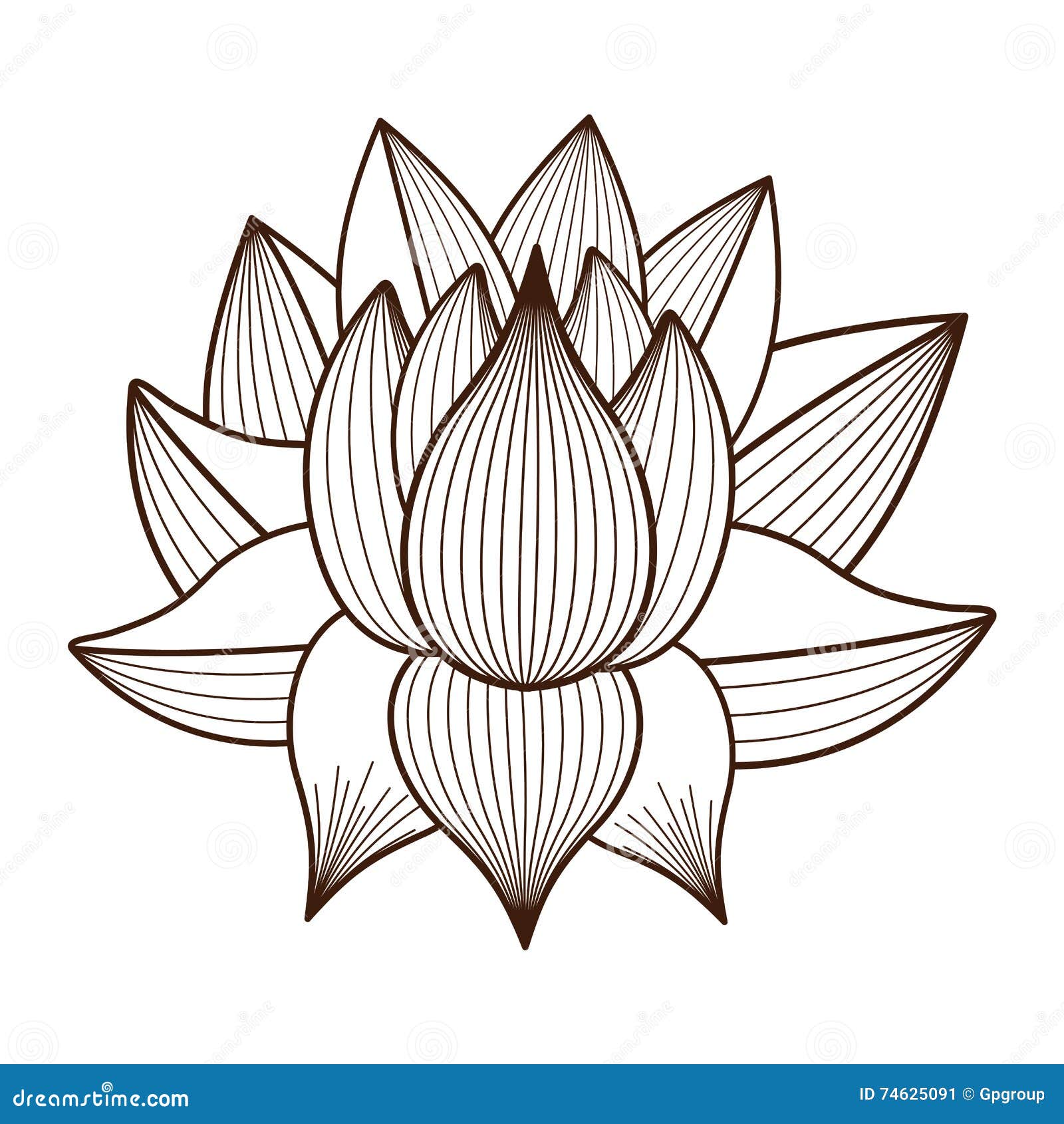 Lotus Flower Drawing Isolated Icon Design Stock Vector Illustration