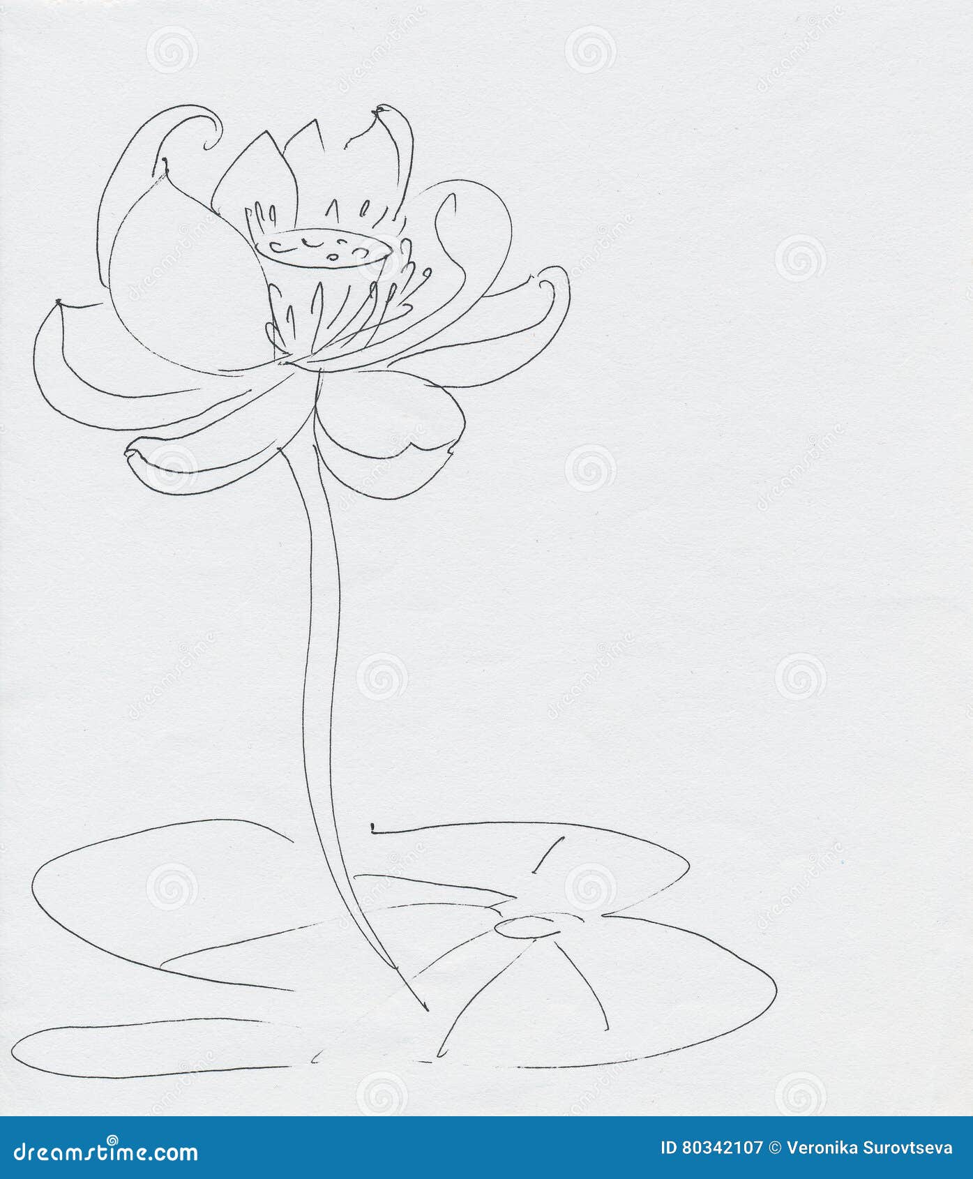 Lotus Flower Line Drawing