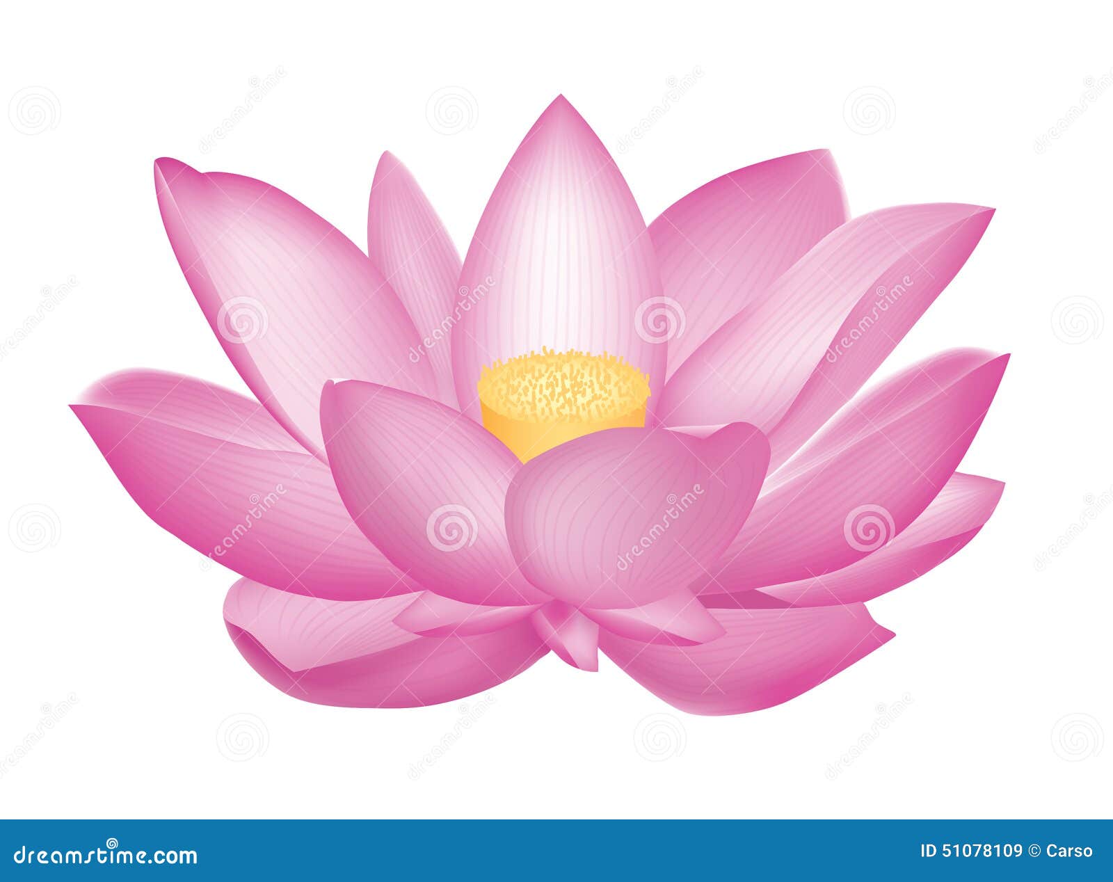 Lotus Flower Icon Circle Flower Icons Circle Icons Lotus Icons Png And Vector With Transparent Background For Free Download