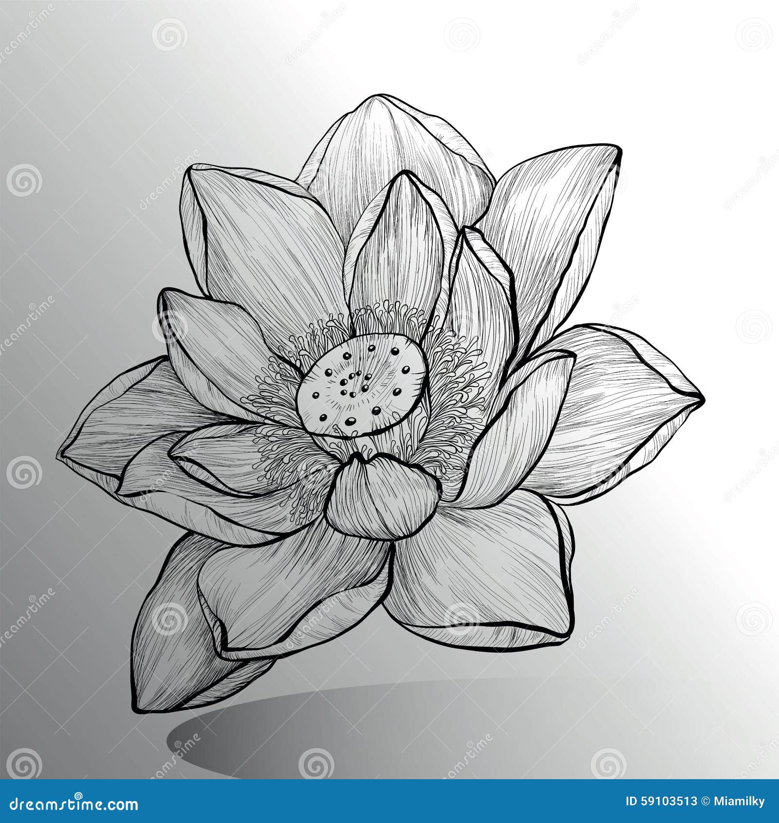 Beautiful Flower Drawings for Kids | Easy to Make Flower Drawing & Coloring  Tutorials | By Parenting | Hello friends, welcome to our Facebook page.  This is a very beautiful flower and