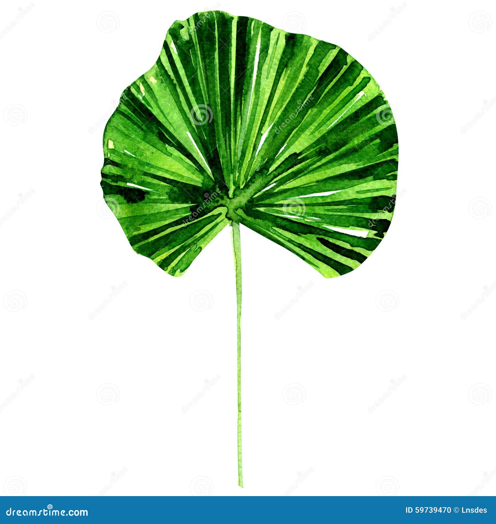 clip art lotus leaf - photo #7