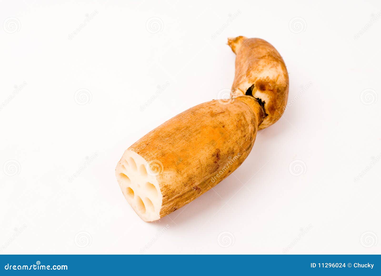 Lotus root stock photo. Image of care, root, isolated 11296024
