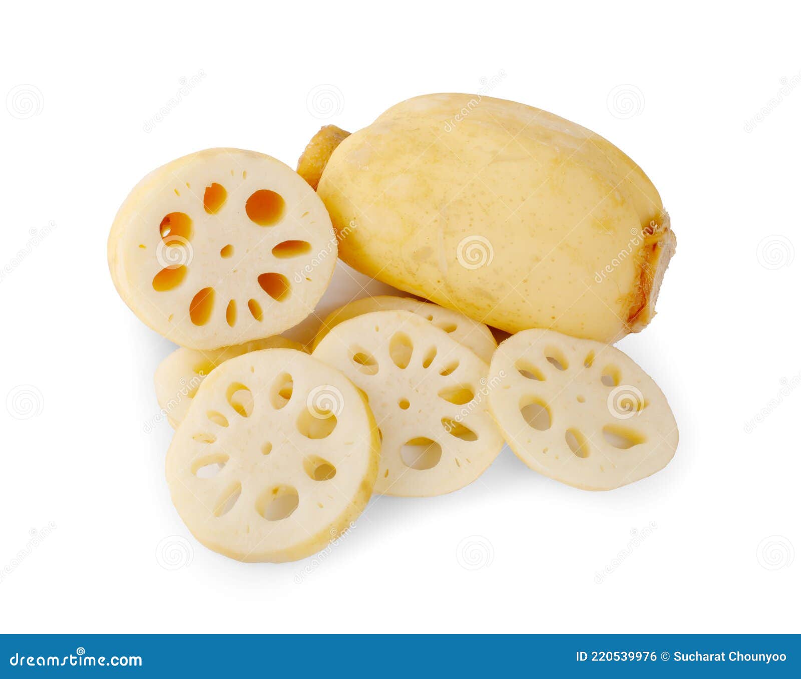 Lotus Root an Isolated on the White Backgroundl Stock Photo Image of