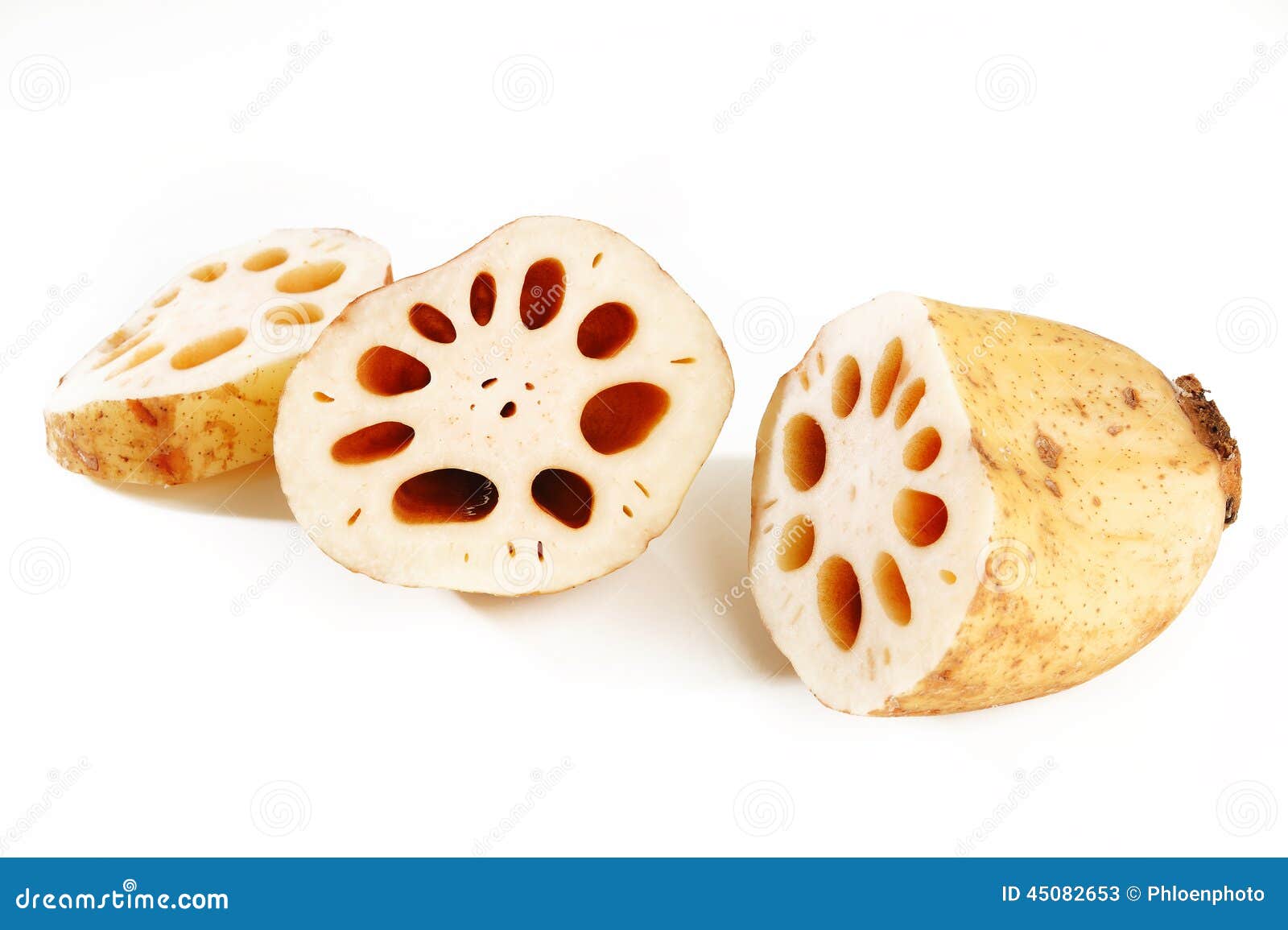 Lotus root stock image. Image of healthy, vegetable, japanese 45082653