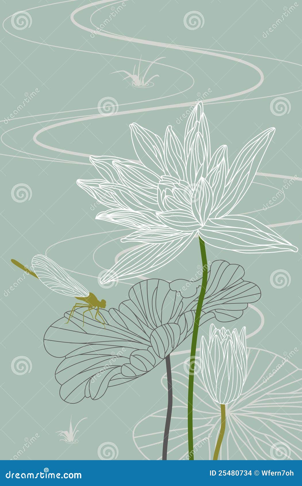 Lotus. Waterlelie. Libel. Vector. Illustratie. Libel op een lotusbloemblad met de bloem van de bloesemlotusbloem