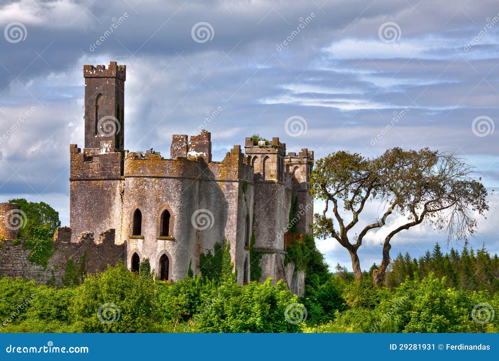 Lough Key Castle River Shannon Stock Image Image of curlew