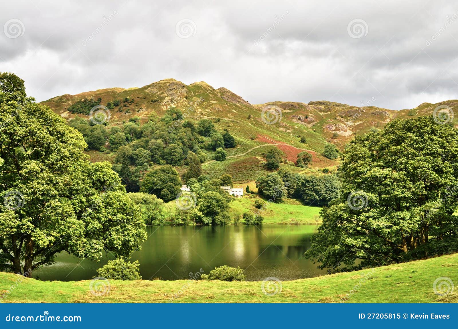 Loughrigg District Anglais Du Tarn Lac Image Stock Image
