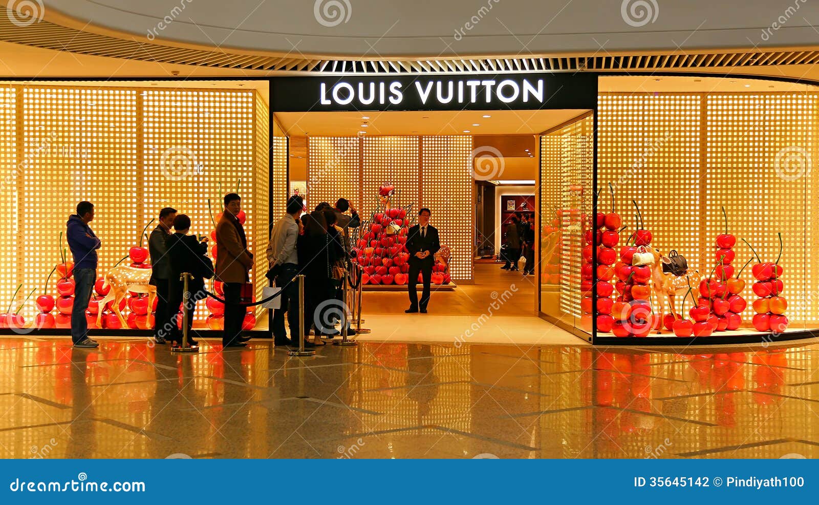 Louis Vuitton Fashion Boutique Editorial Photography - Image of designer, expensive: 35645142