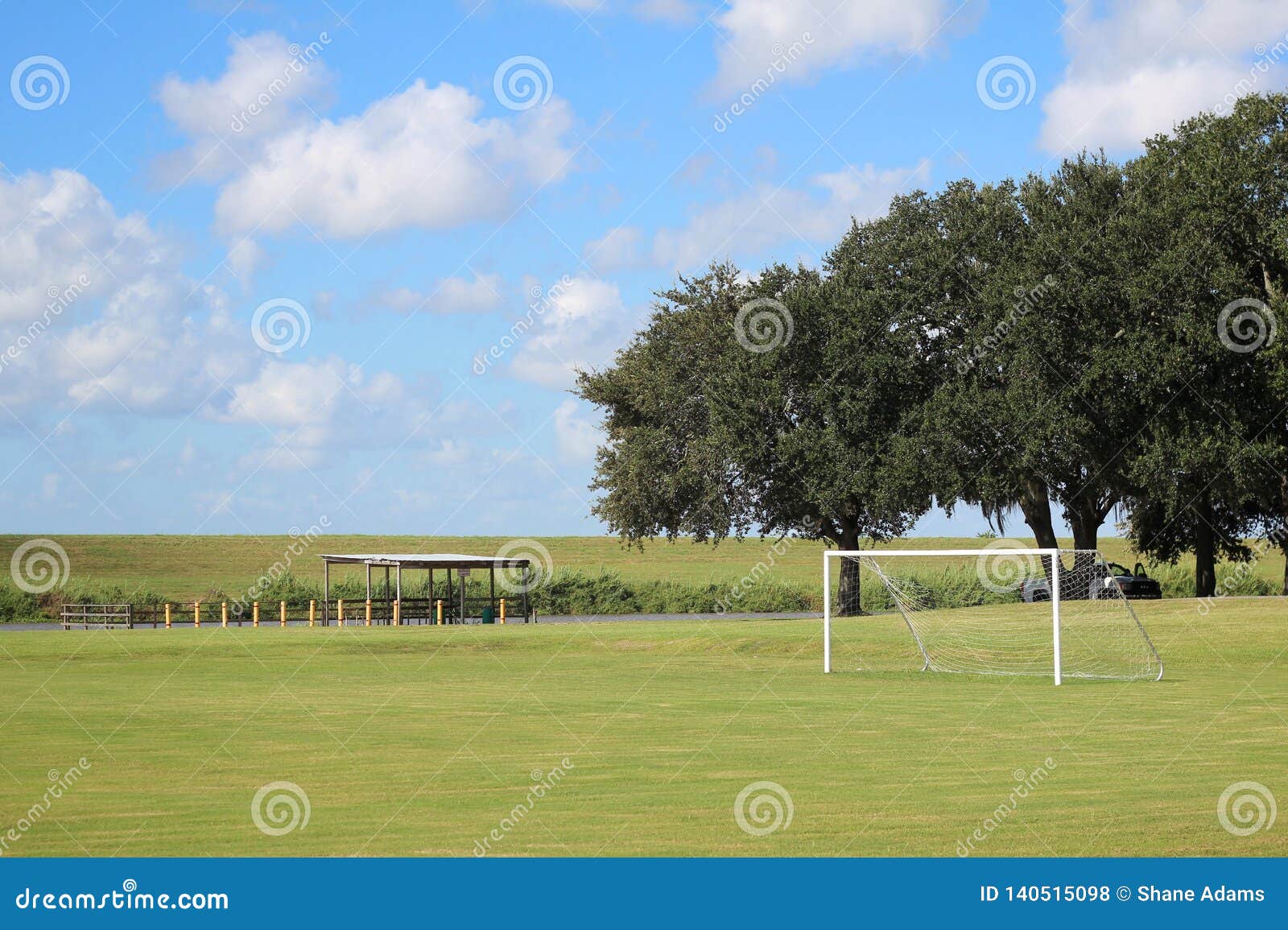 Louisiana Oak Trees stock photo. Image of trees, south 140515098