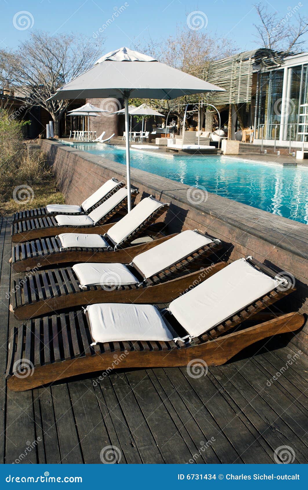 Lounge Chairs And Resort Pool Stock Photo Image Of Recliners