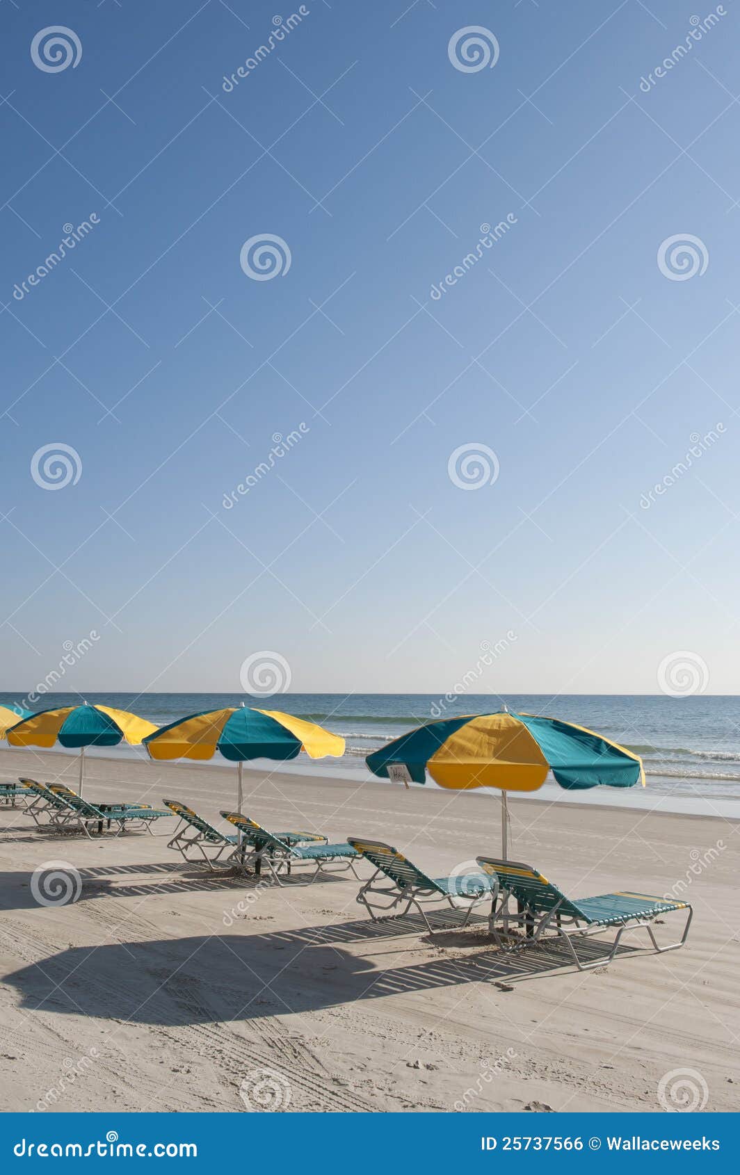 Lounges & Umbrellas on Daytona Beach Stock Photo Image of atlantic