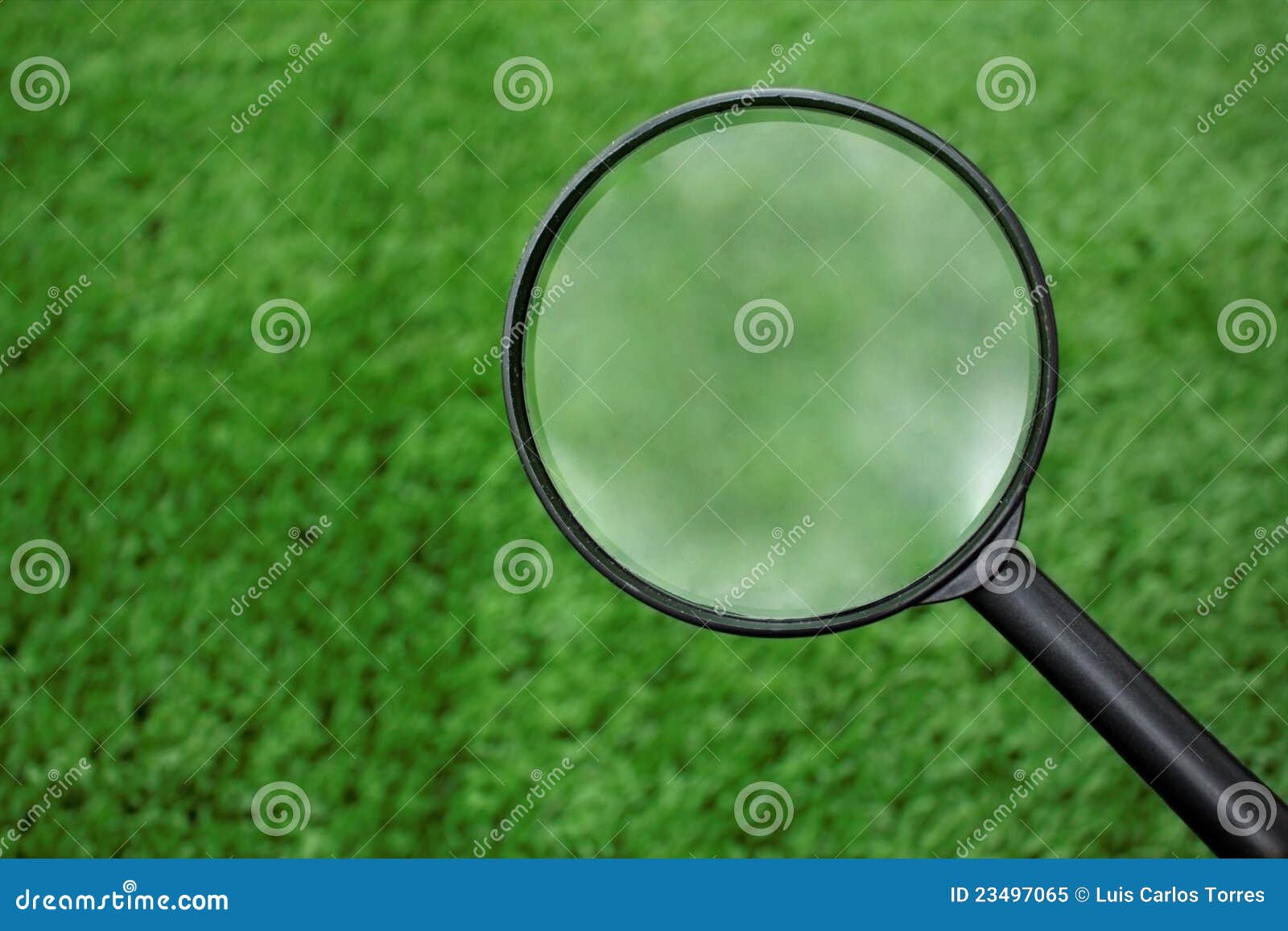 loupe searching on grass