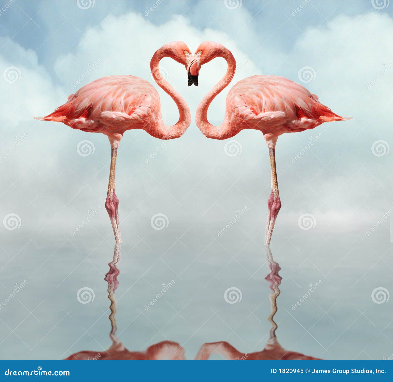 Love Birds stock image. Image of plumage, pink, legs, kitsch - 1820945