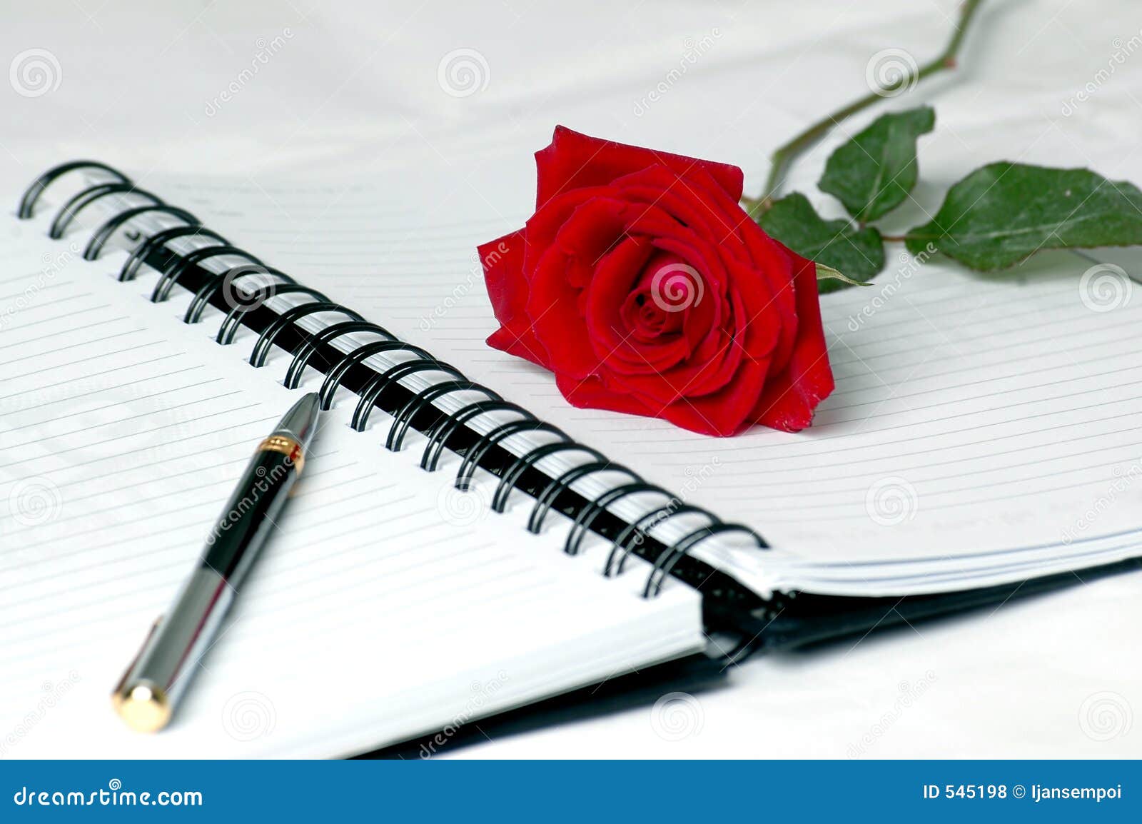 Love Diary
