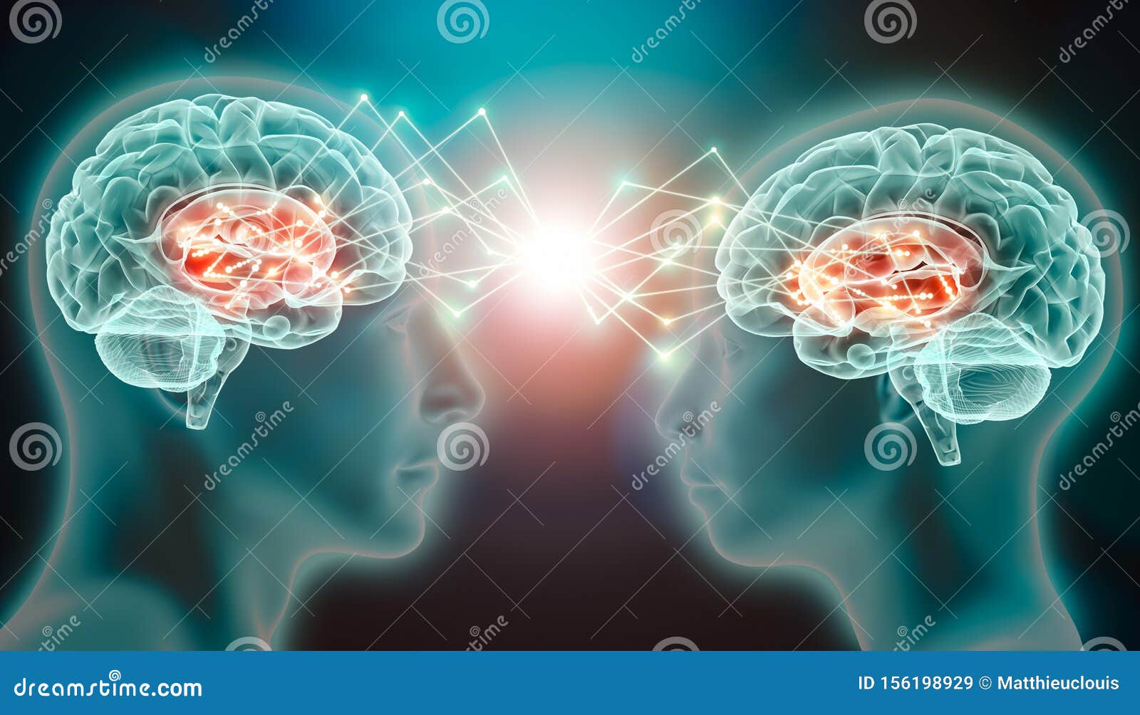 love emotion or empathy cerebral activity in caudate nucleus. human brains connected with plexus lines. conceptual  of