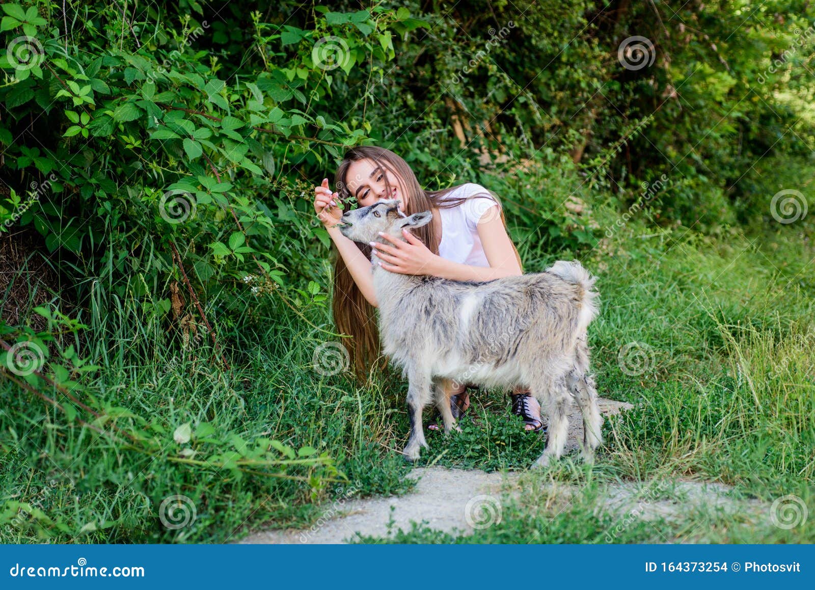 Love. Farm and Farming Concept. Animals are Our Friends. Happy Girl Love  Goat. Village Weekend. Summer Day Stock Photo - Image of friends, animals:  164373254