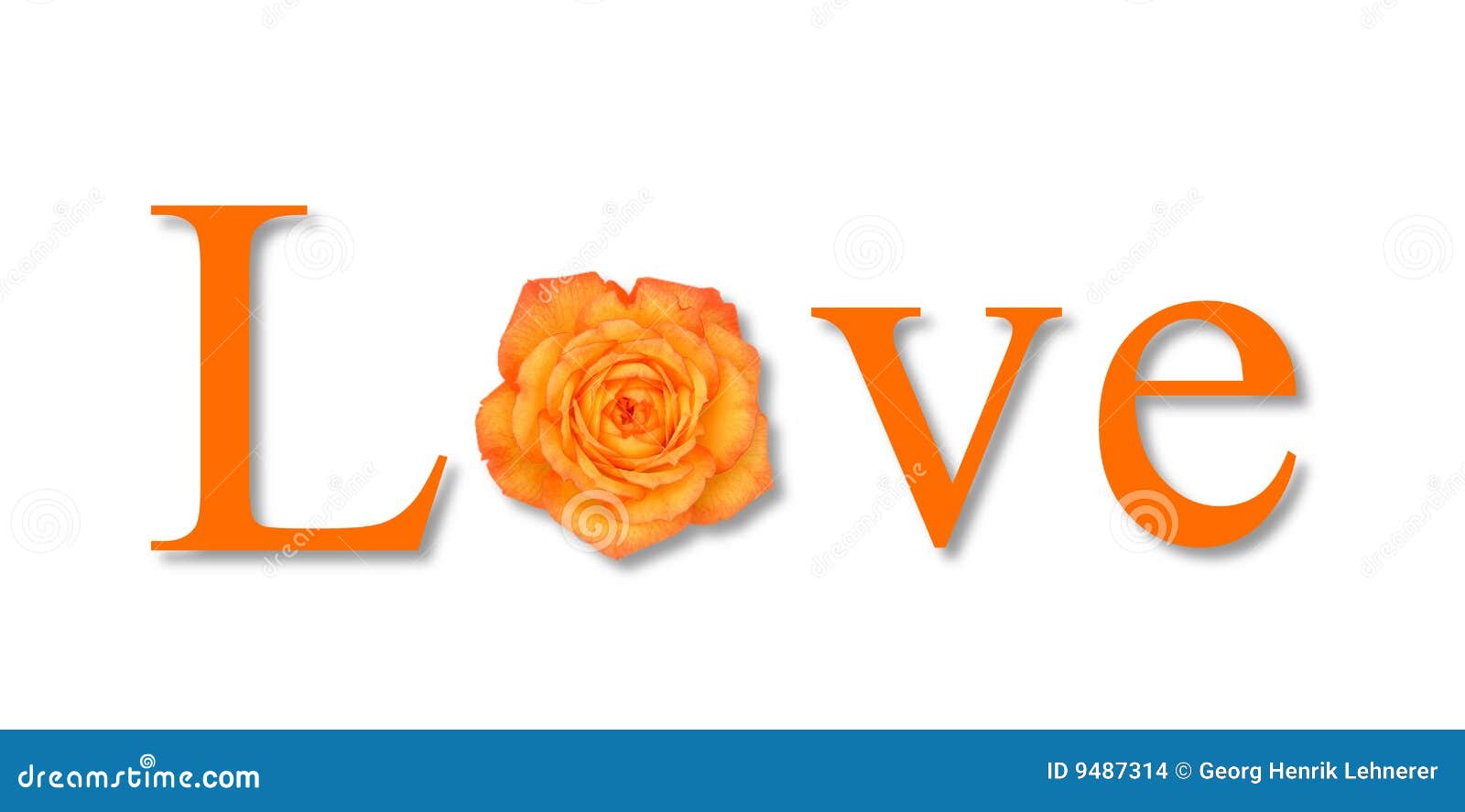Love Flower Orange stock illustration. Illustration of anniversary