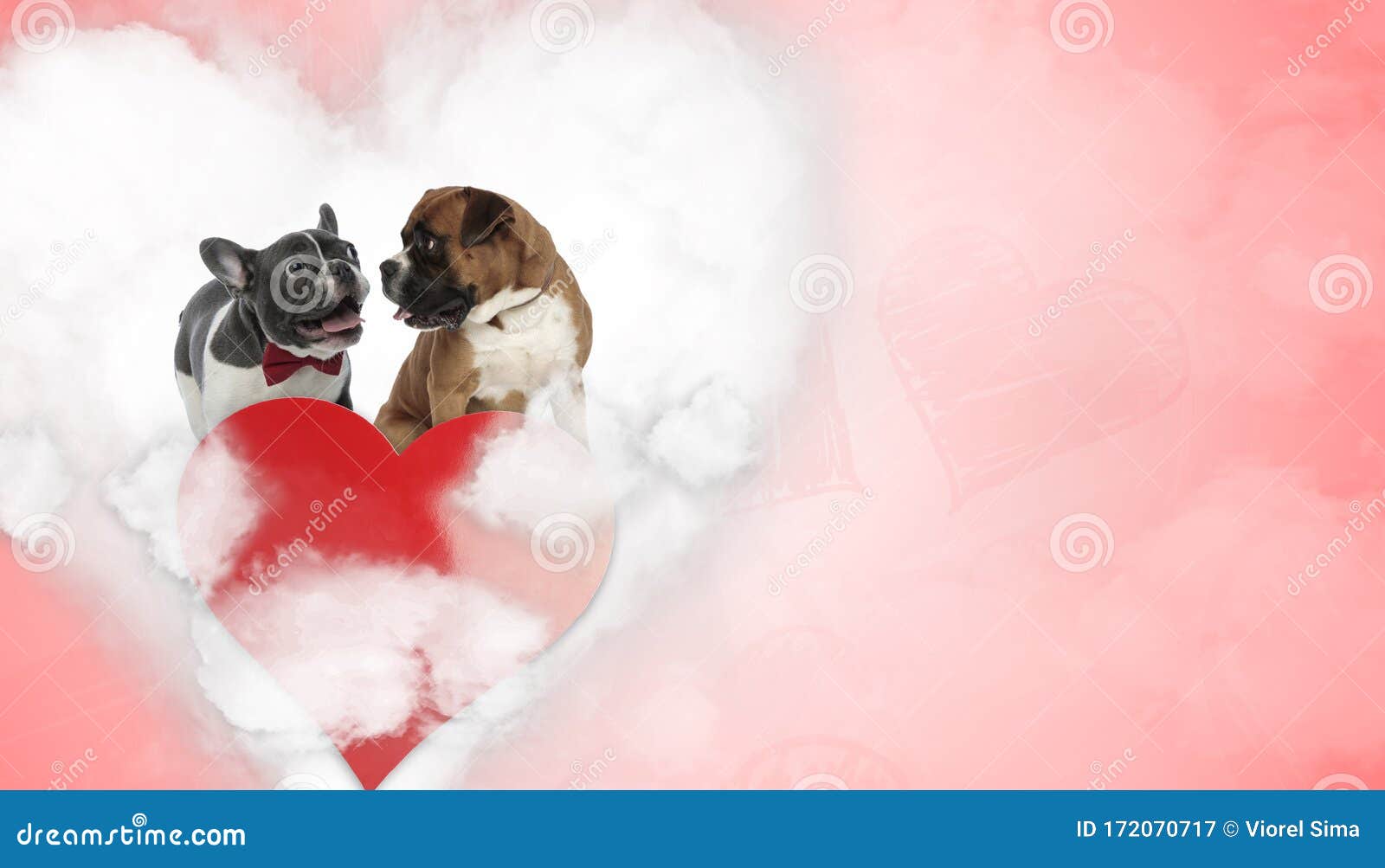 In Love French Bulldog and Boxer Puppies Panting Stock Image - Image of ...