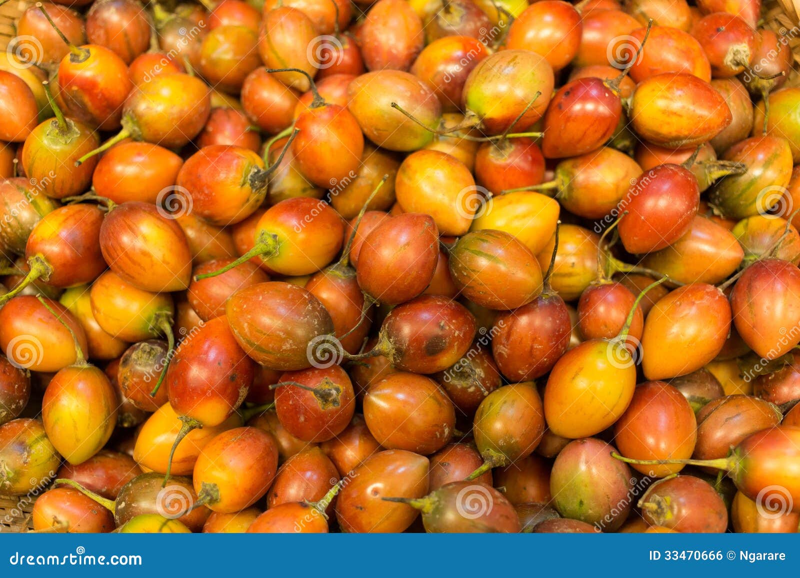 Love fruit stock photo. Image of vegetable, vitamin, orange - 33470666