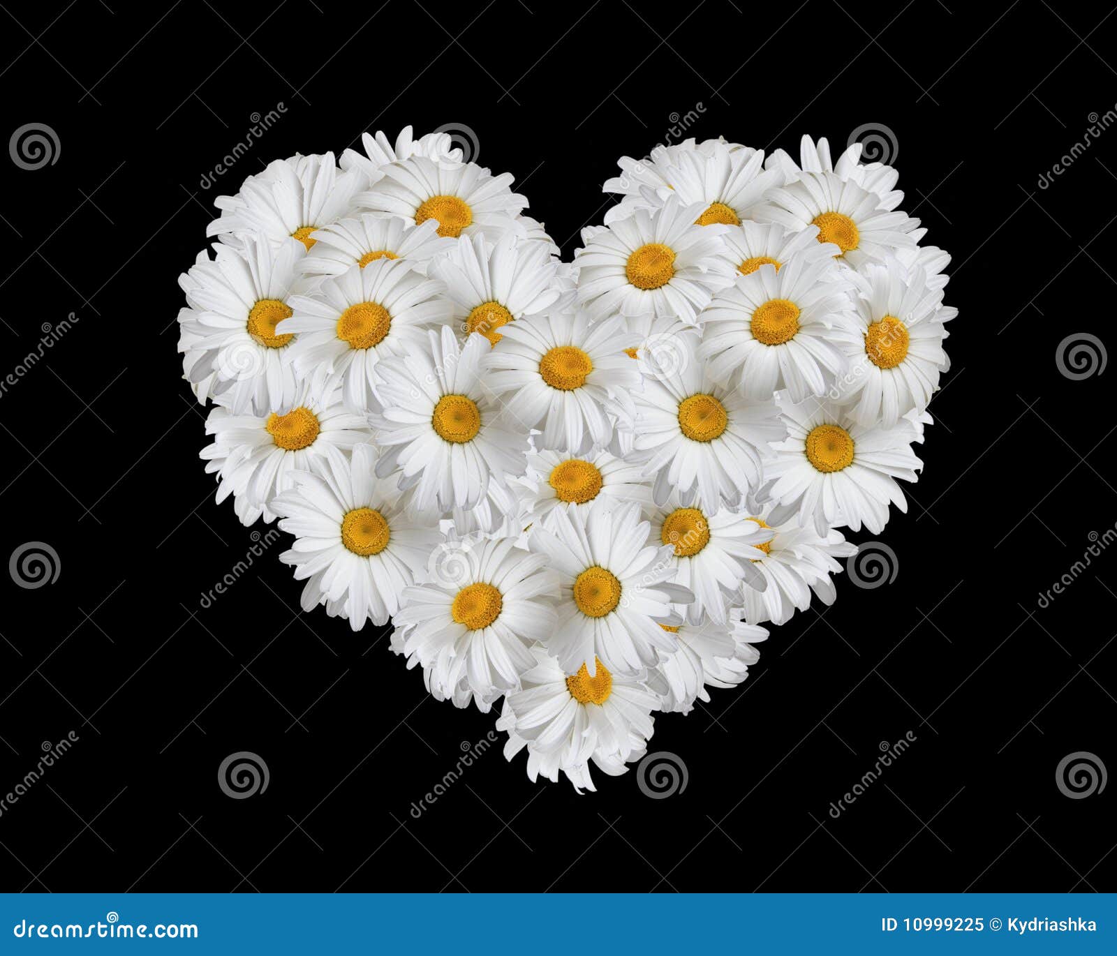 Love, Heart Of Daisies Royalty Free Stock Photo Image 10999225
