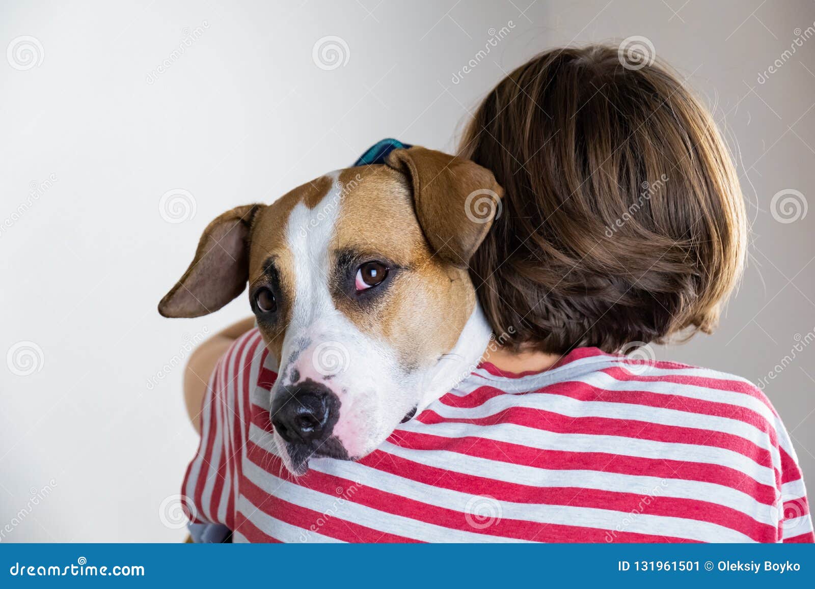 394 Animals Kindness To Stock Photos - Free & Royalty-Free Stock Photos  from Dreamstime