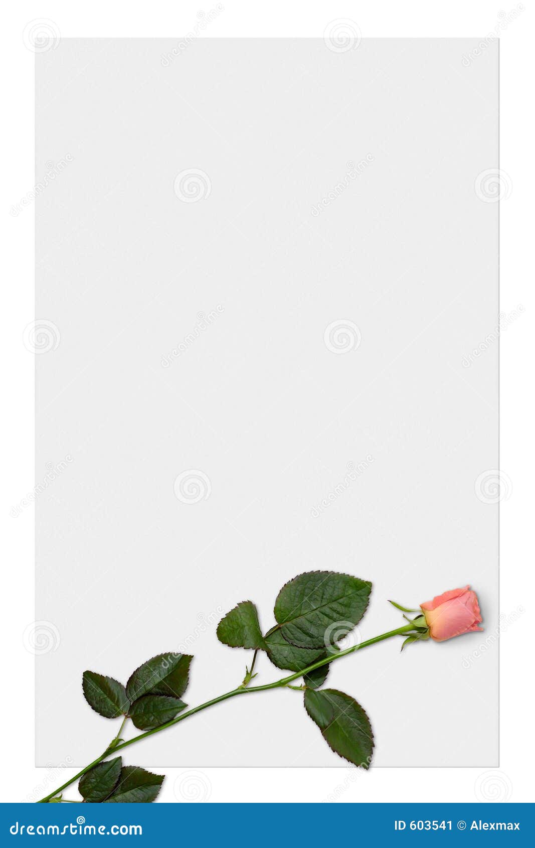 Love Letter Paper with Red Rose Background Stock Illustration