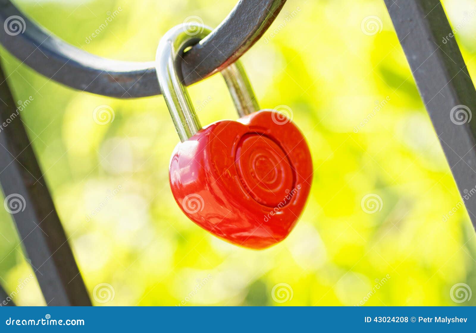 Love Lock stock photo. Image of light, confidential, green 43024208