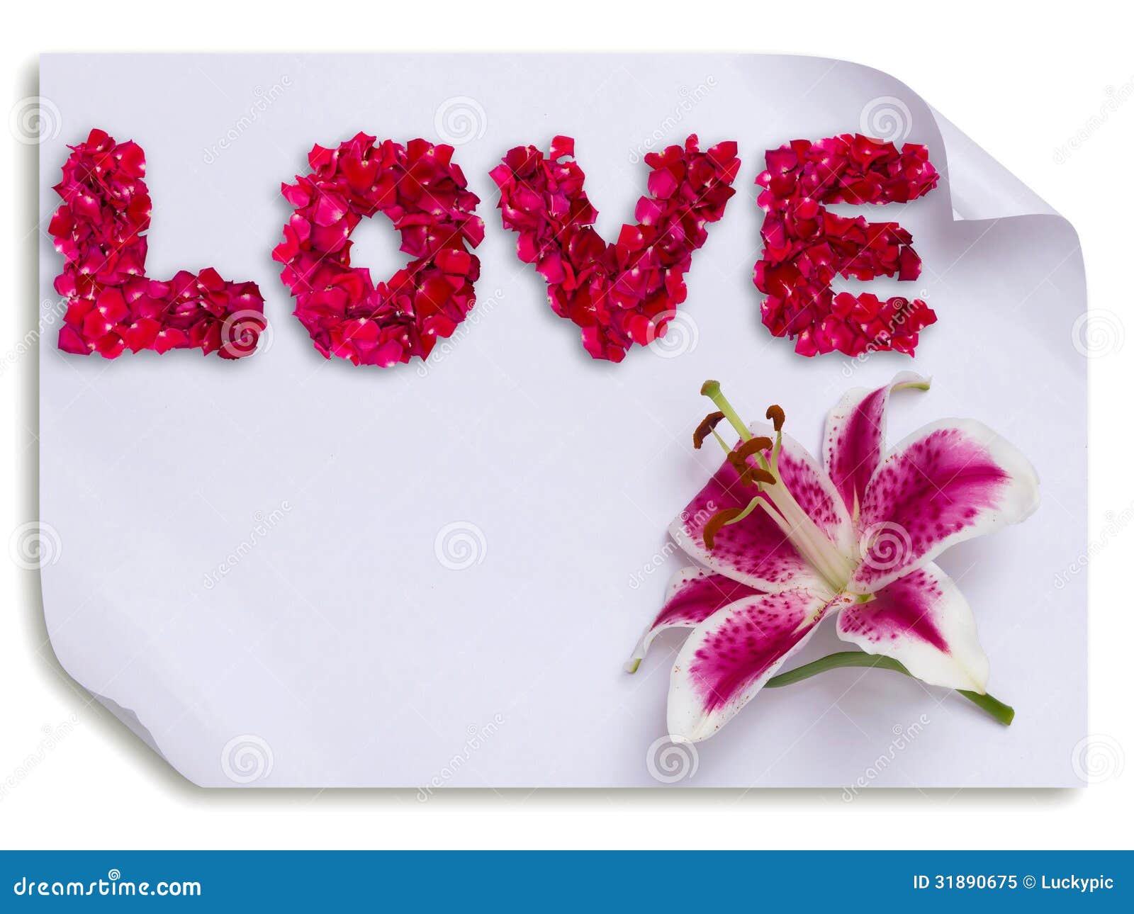 Love Made from Red Rose Petals and Lily Flower on Paper Stock ...