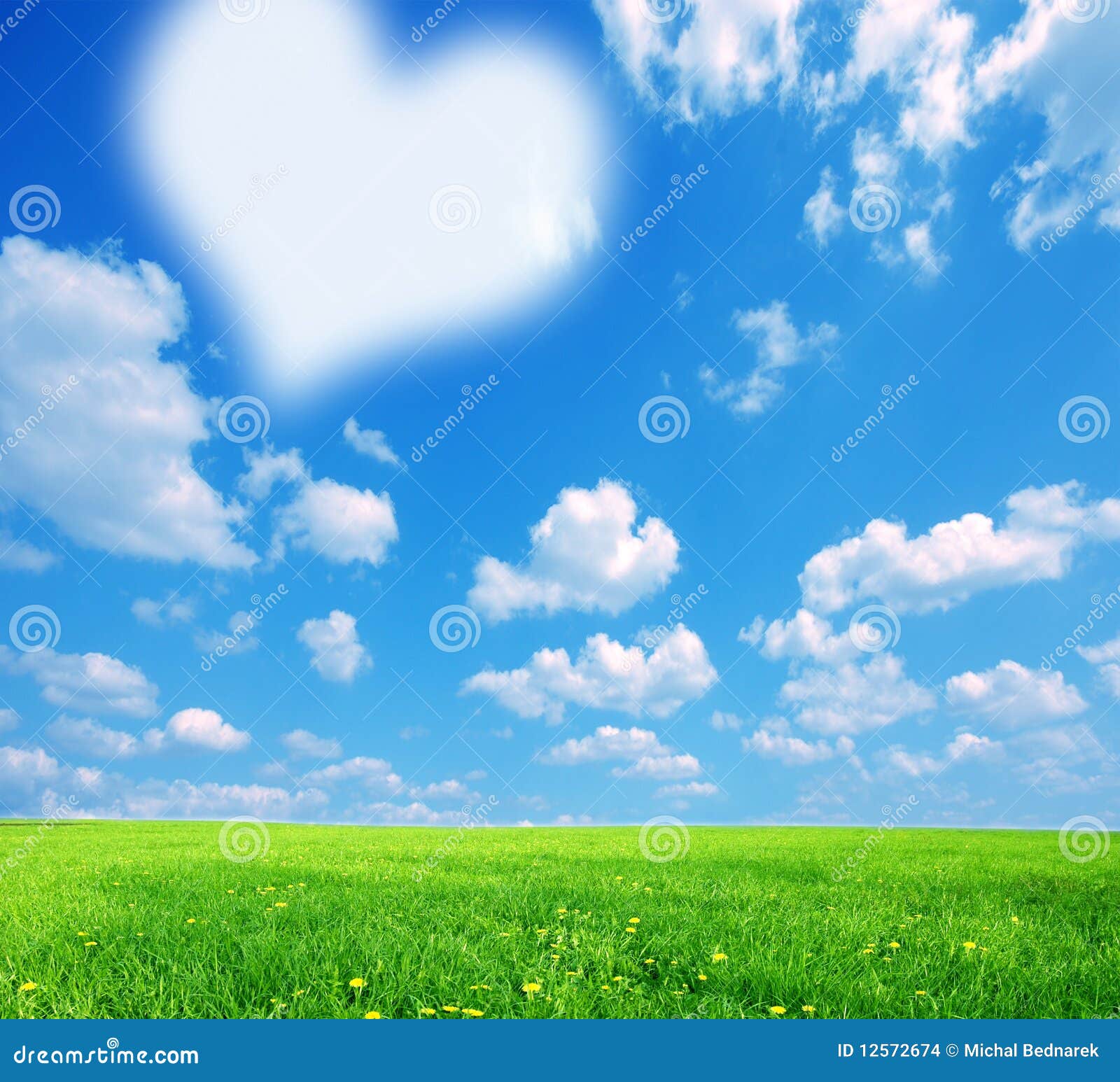 Love nature background stock Image of heart, flowers