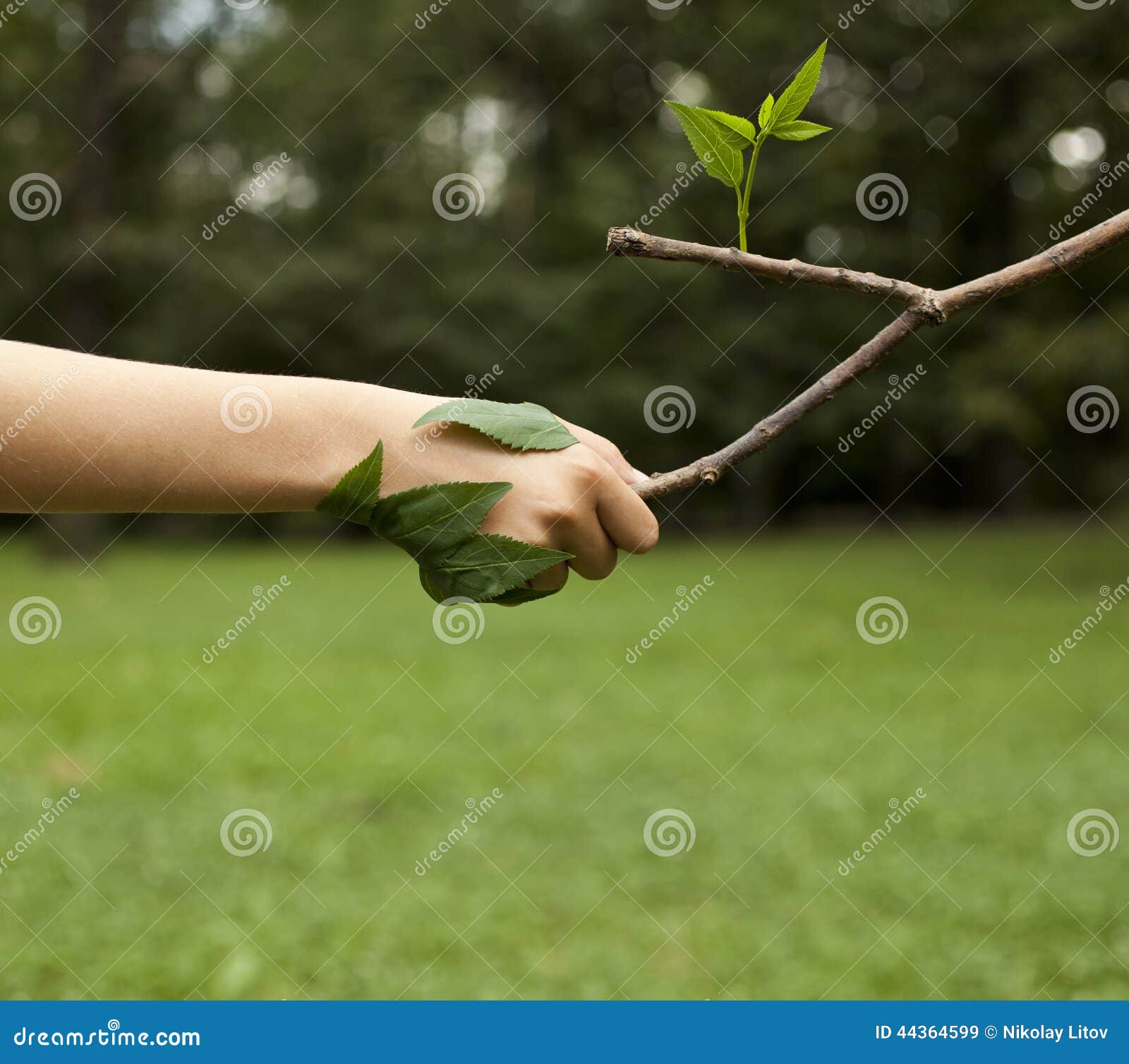 Love the Nature stock image. Image of collaboration, beauty - 44364599