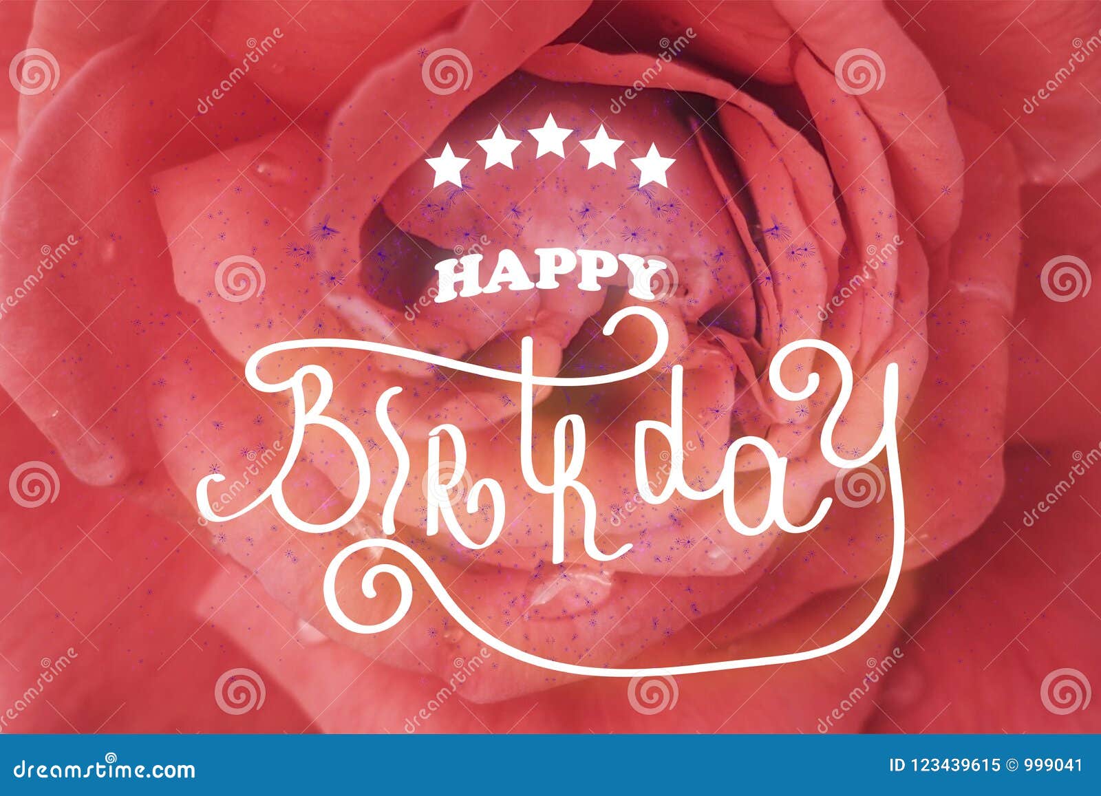 Happy Birthday Hand Lettering One Rose Flower Up Close Stock